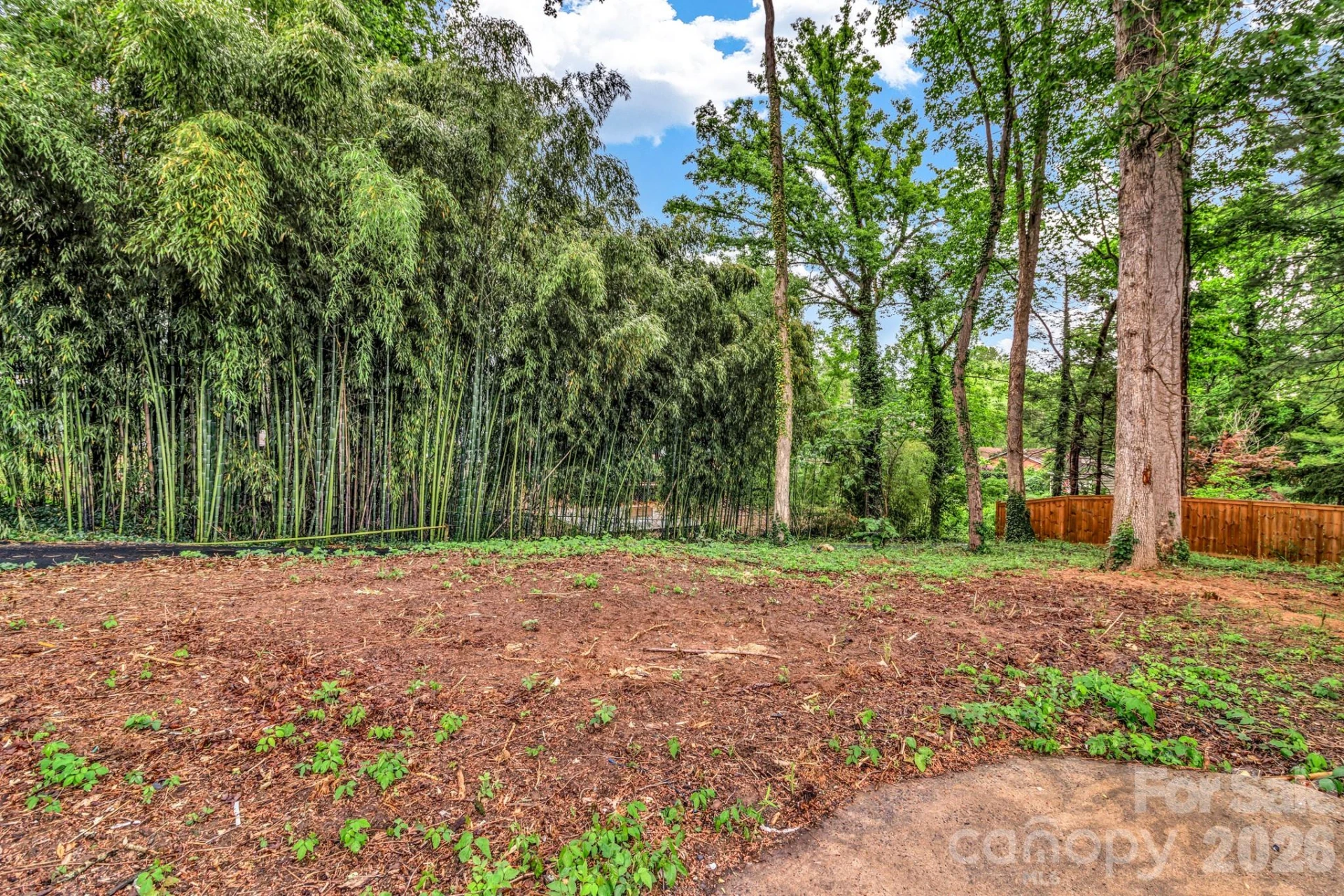 4 Barnes Road - Photo 42
