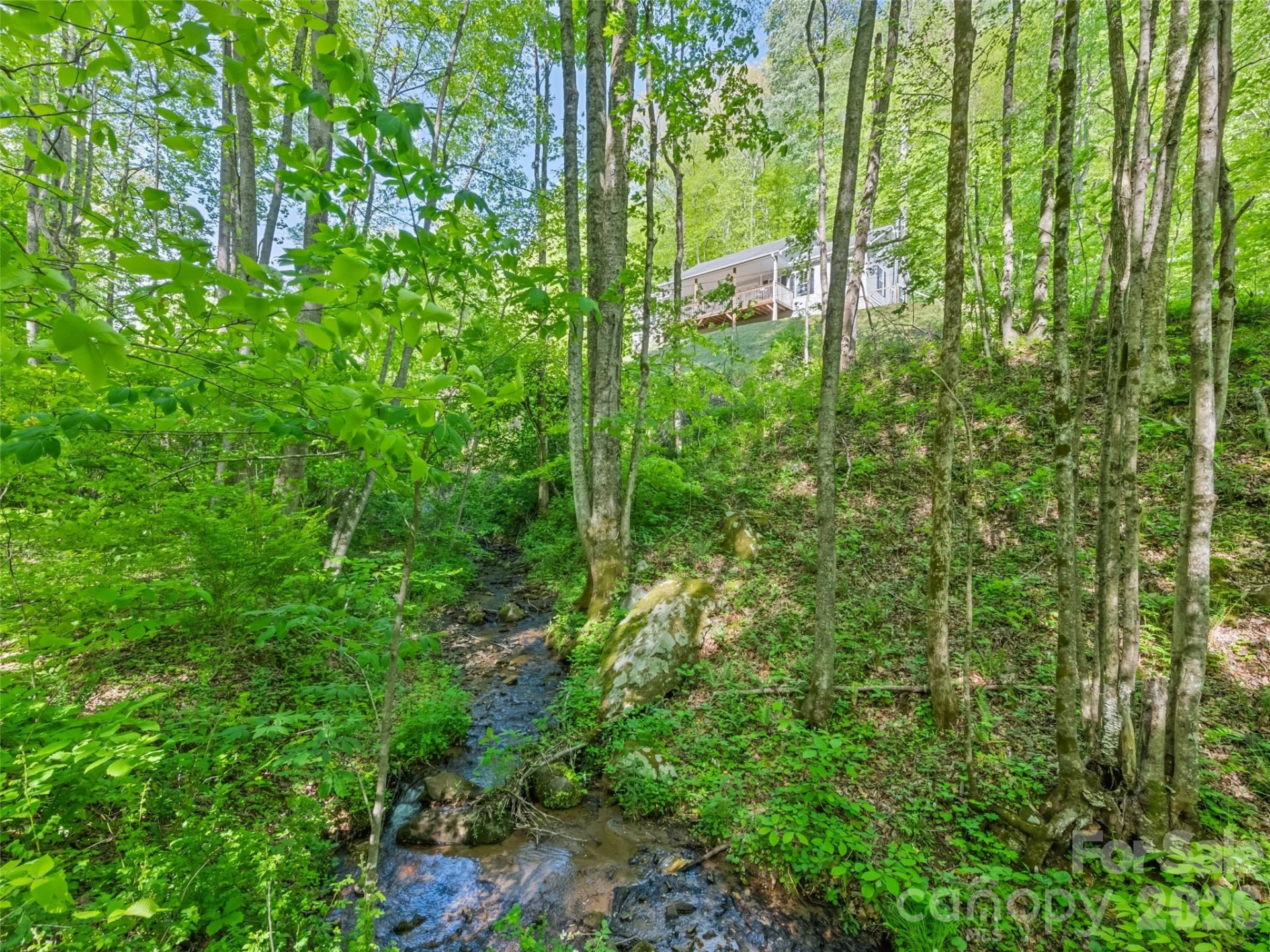 114 Cool Water Trail - Photo 11