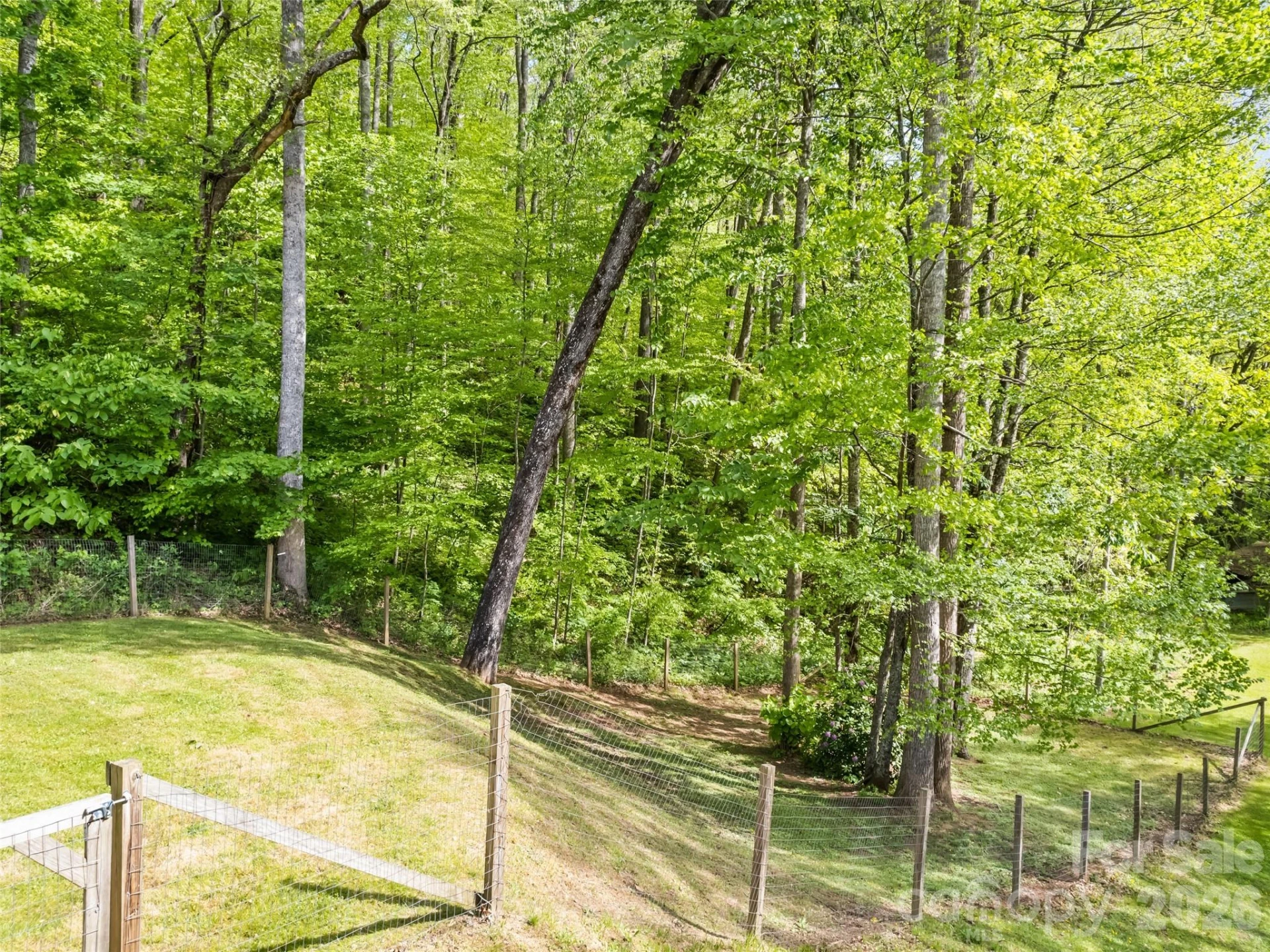 114 Cool Water Trail - Photo 7
