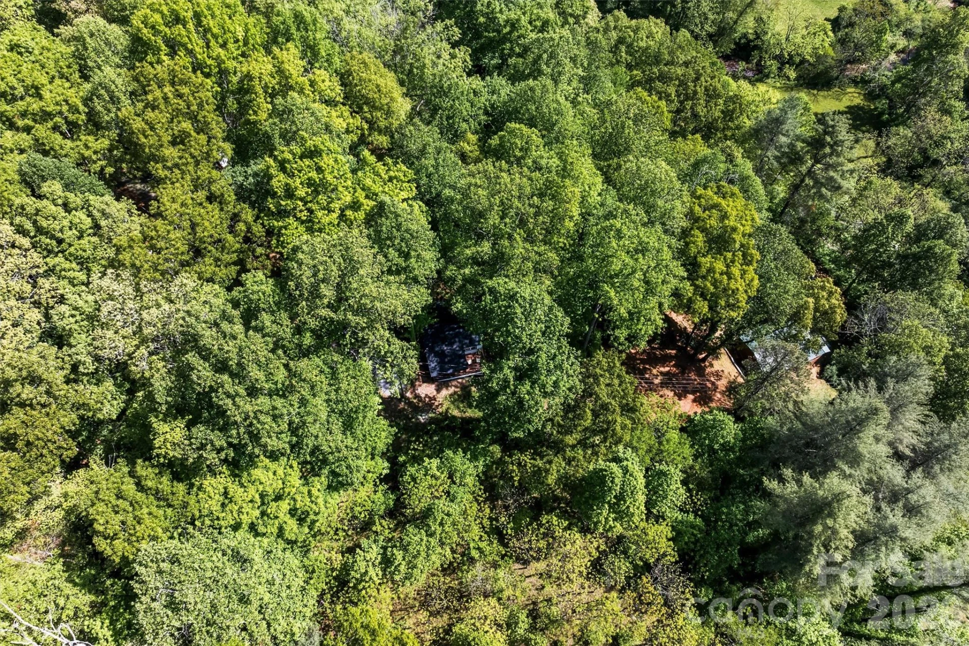 193 Sams Hill - Photo 23