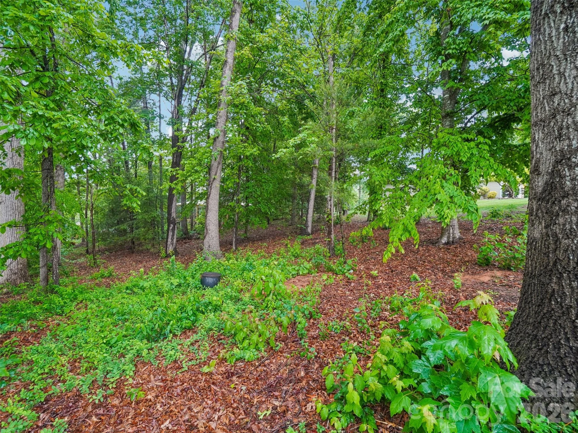 38 Forest Knoll Drive - Photo 45