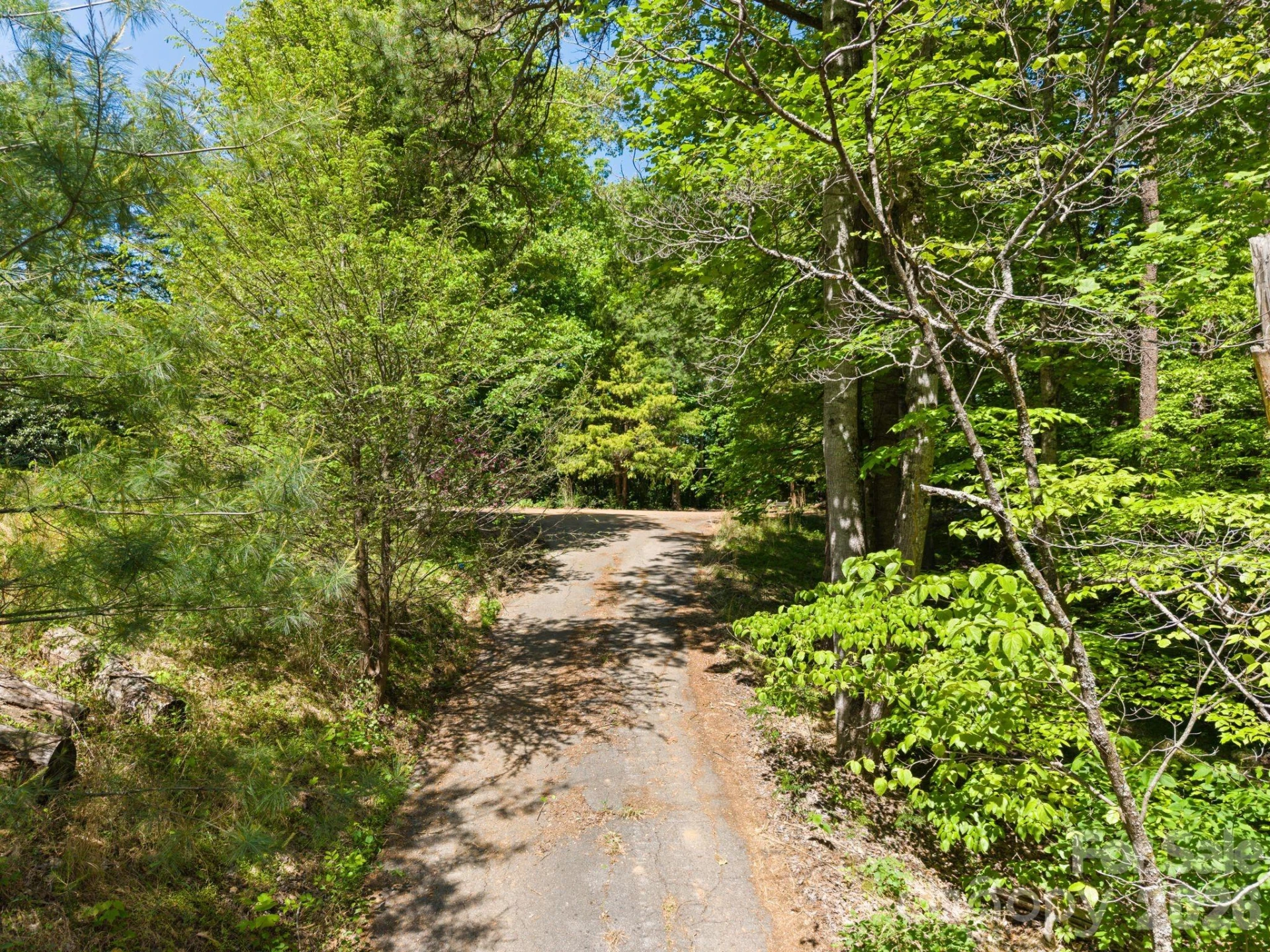 31 White Bridge Road - Photo 14