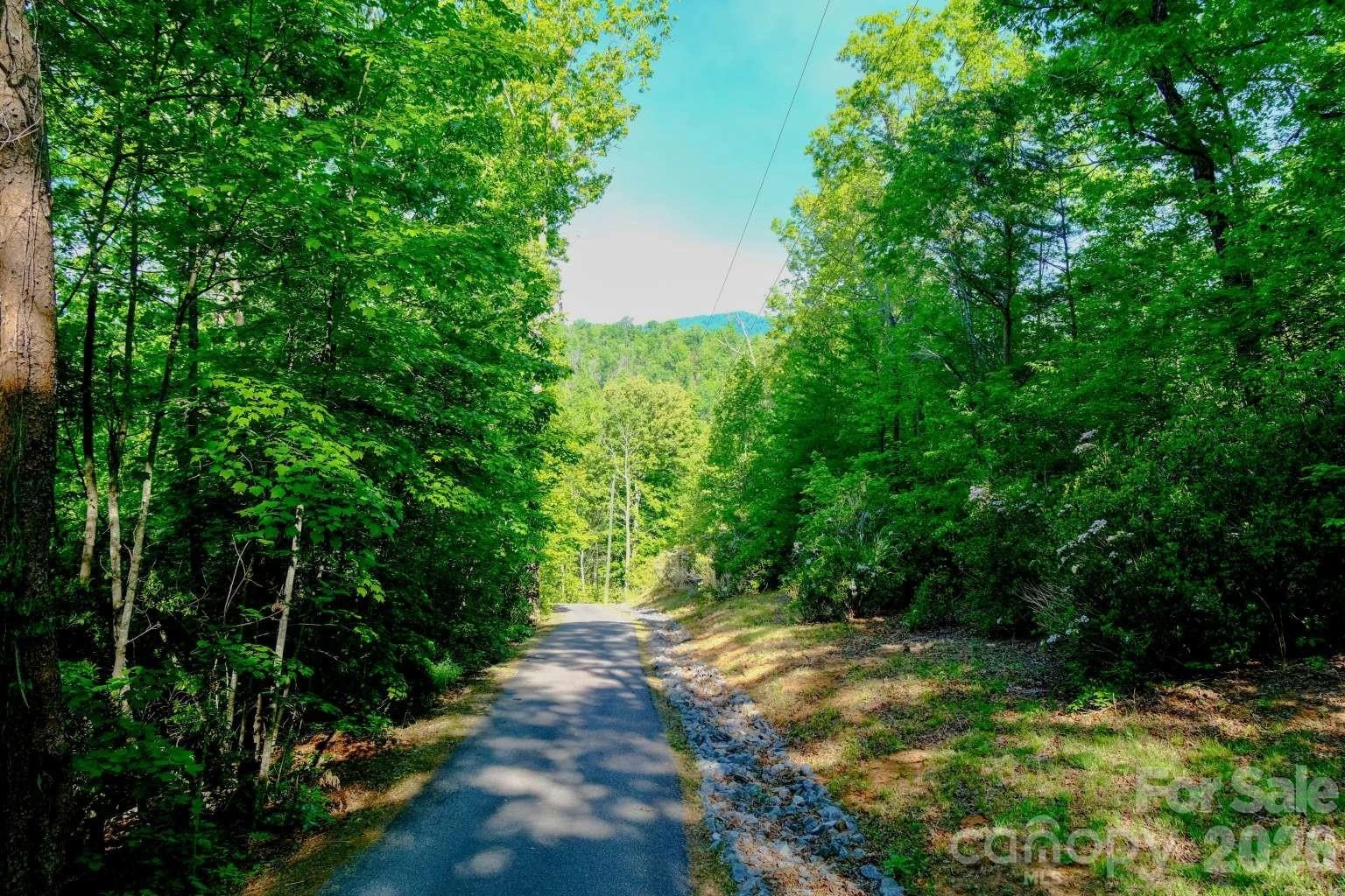 3815 Bat Cave Road - Photo 36