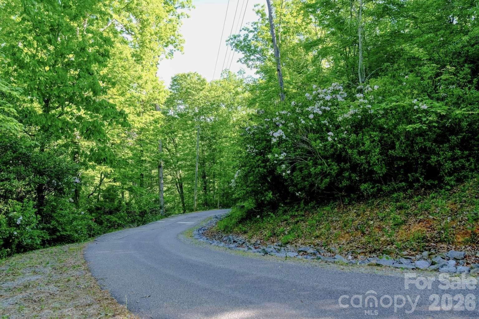3815 Bat Cave Road - Photo 37