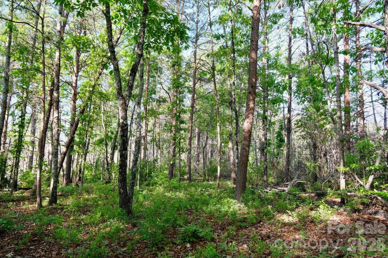 3815 Bat Cave Road - Photo 38