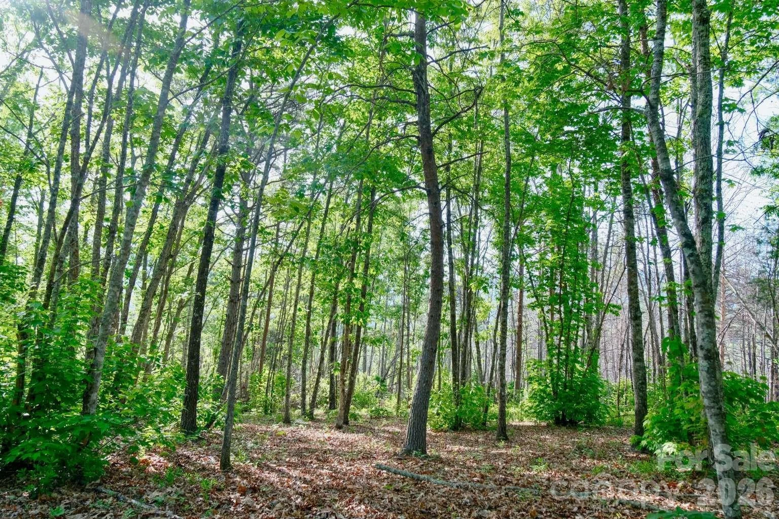 3815 Bat Cave Road - Photo 39