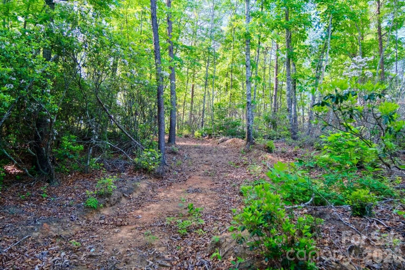 3815 Bat Cave Road - Photo 41
