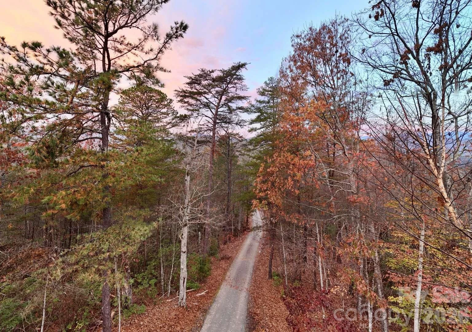 3815 Bat Cave Road - Photo 43