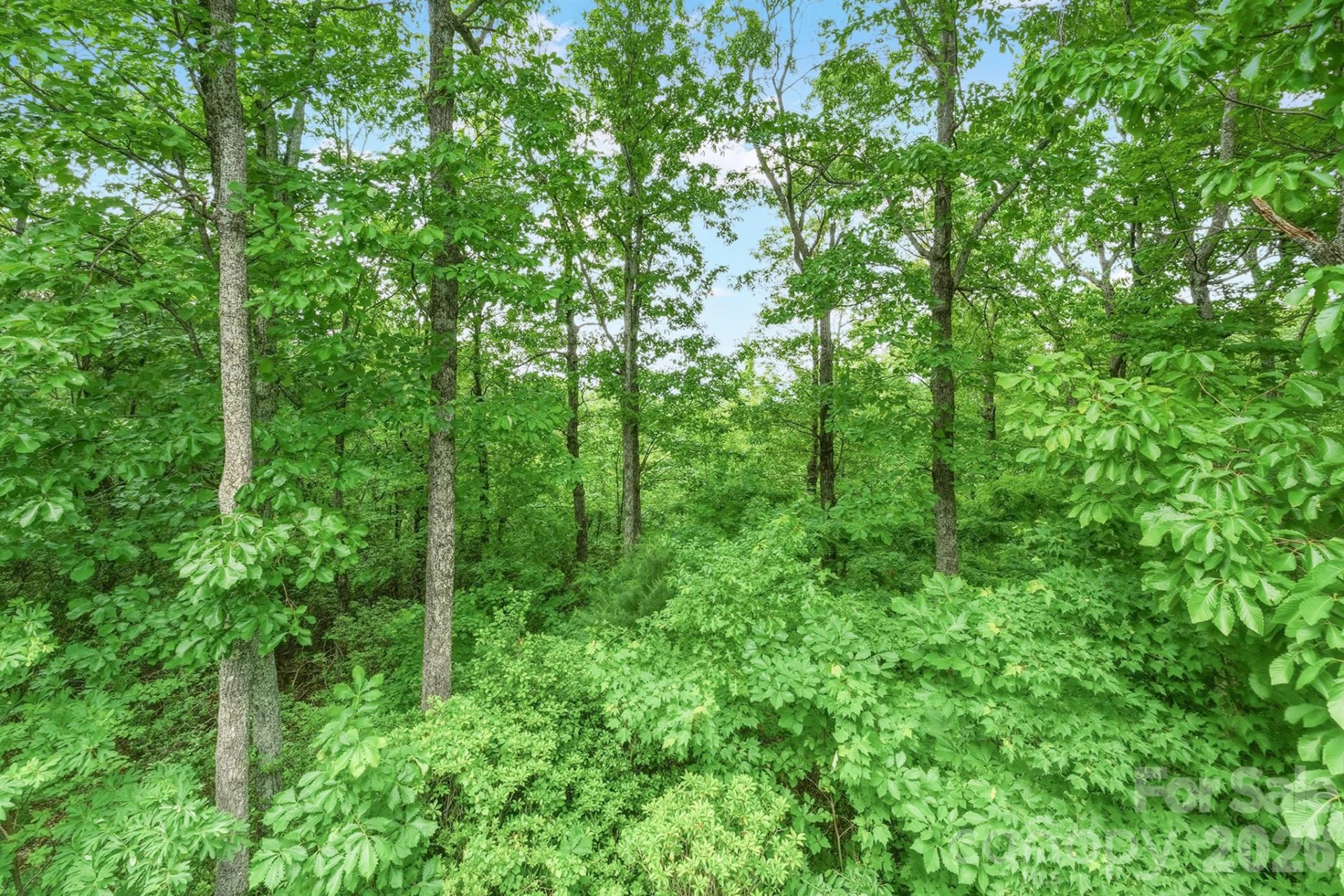 3190 Holly Road - Photo 8