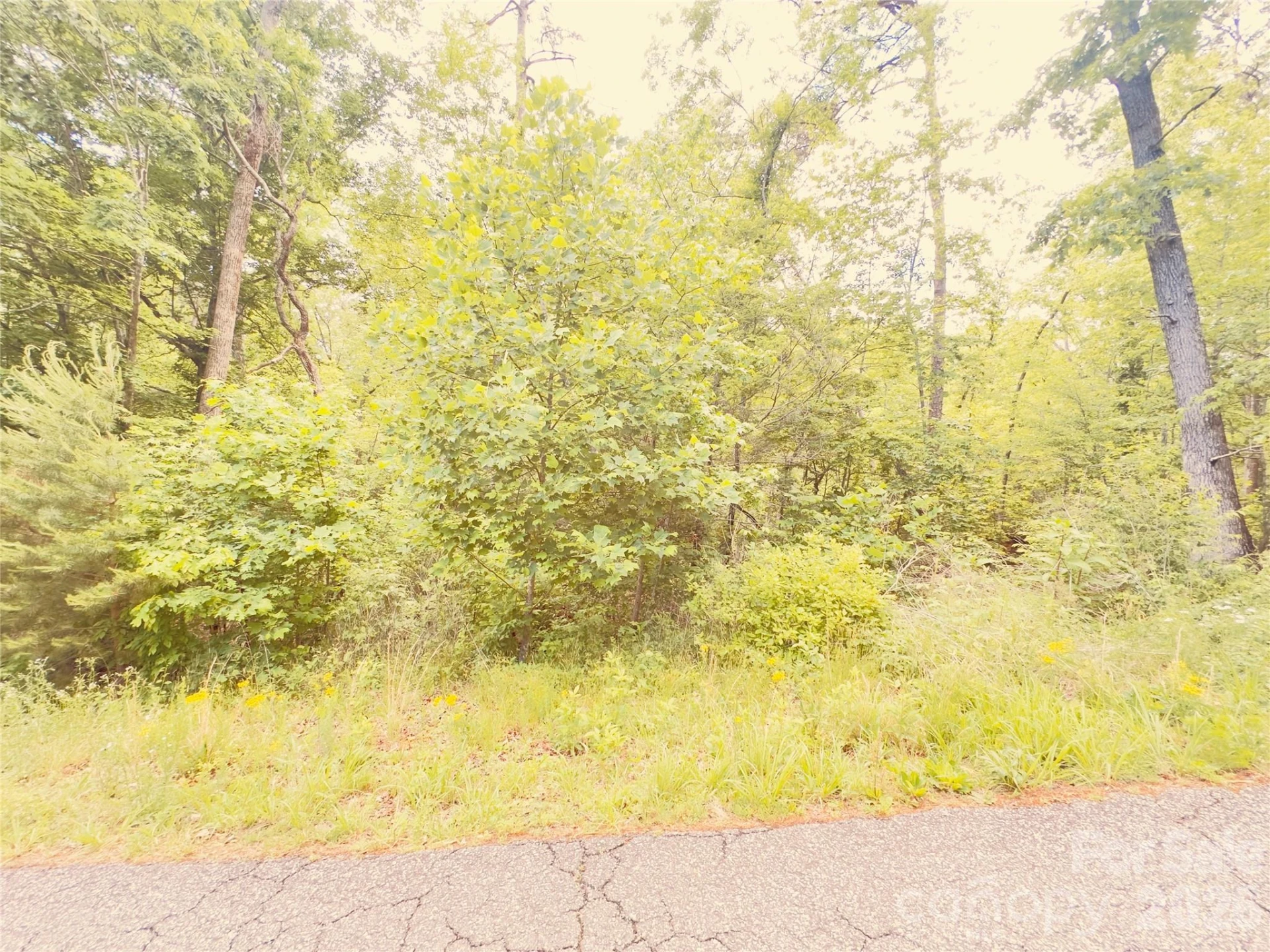 5 Cedarbrook Lane #5 - Photo 2
