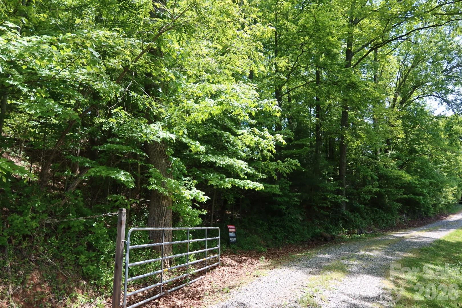 7 Hallaran Drive #PT 3 - Photo 3