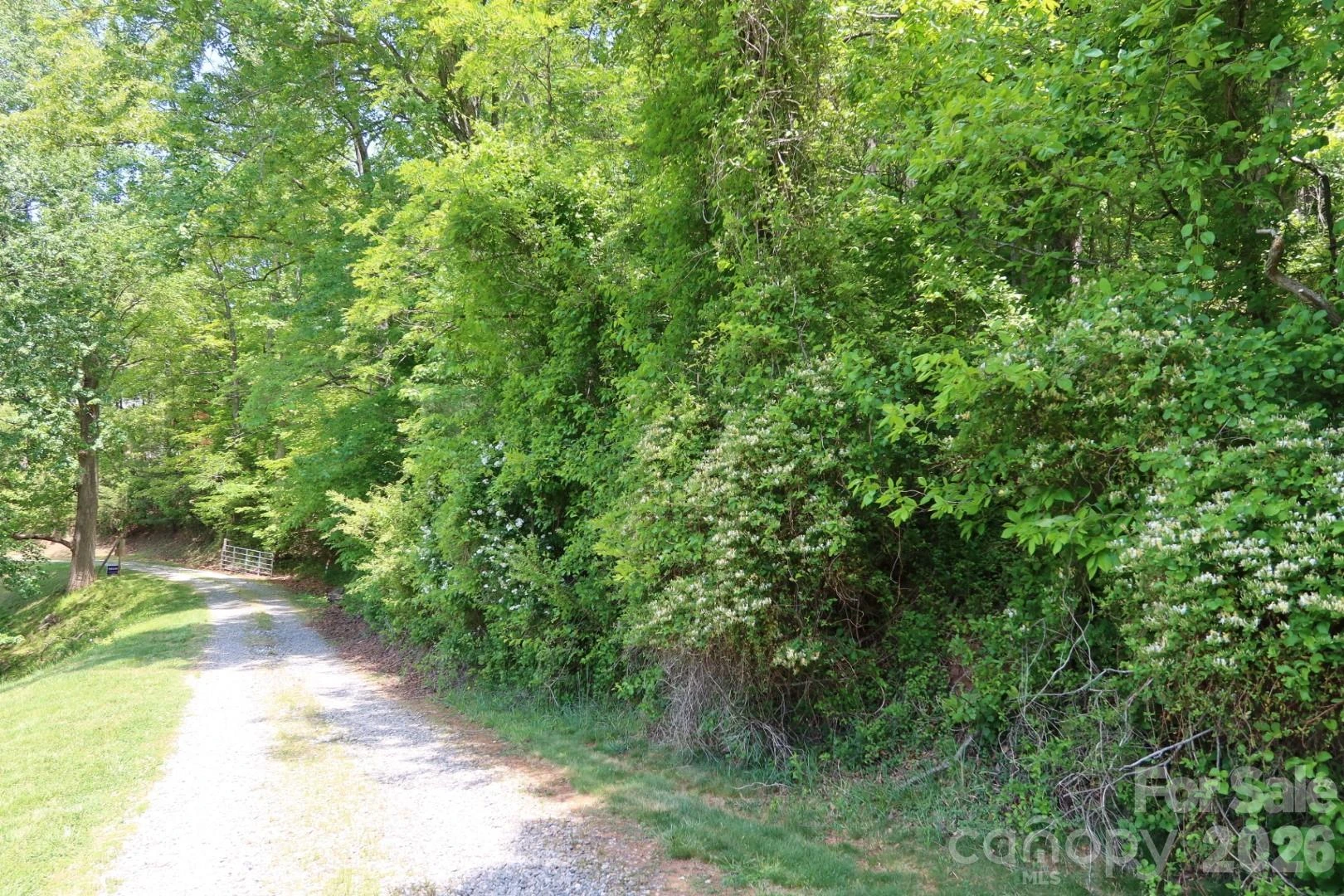 7 Hallaran Drive #PT 3 - Photo 4