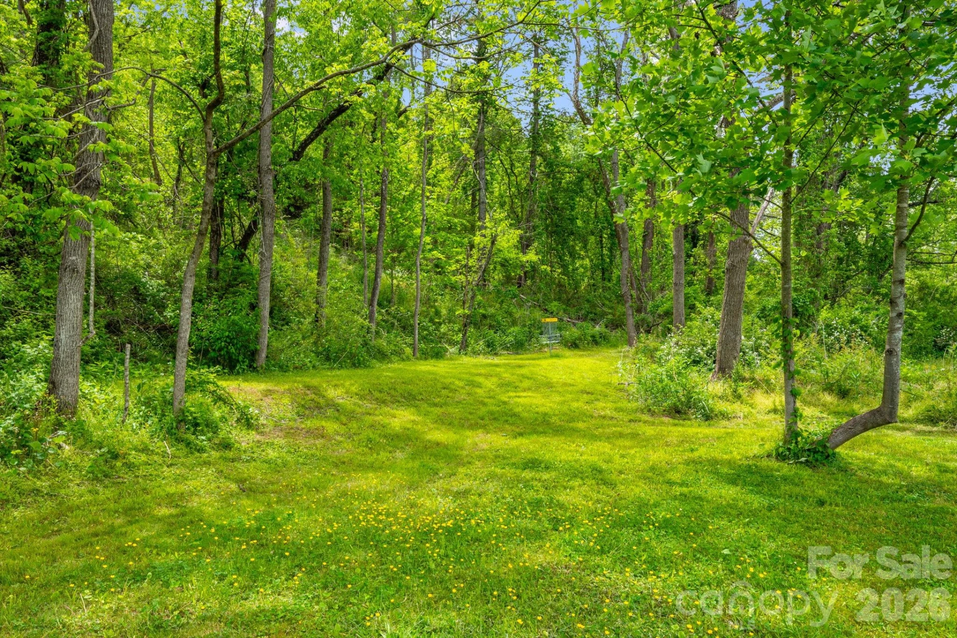 2956 New Leicester Highway - Photo 28