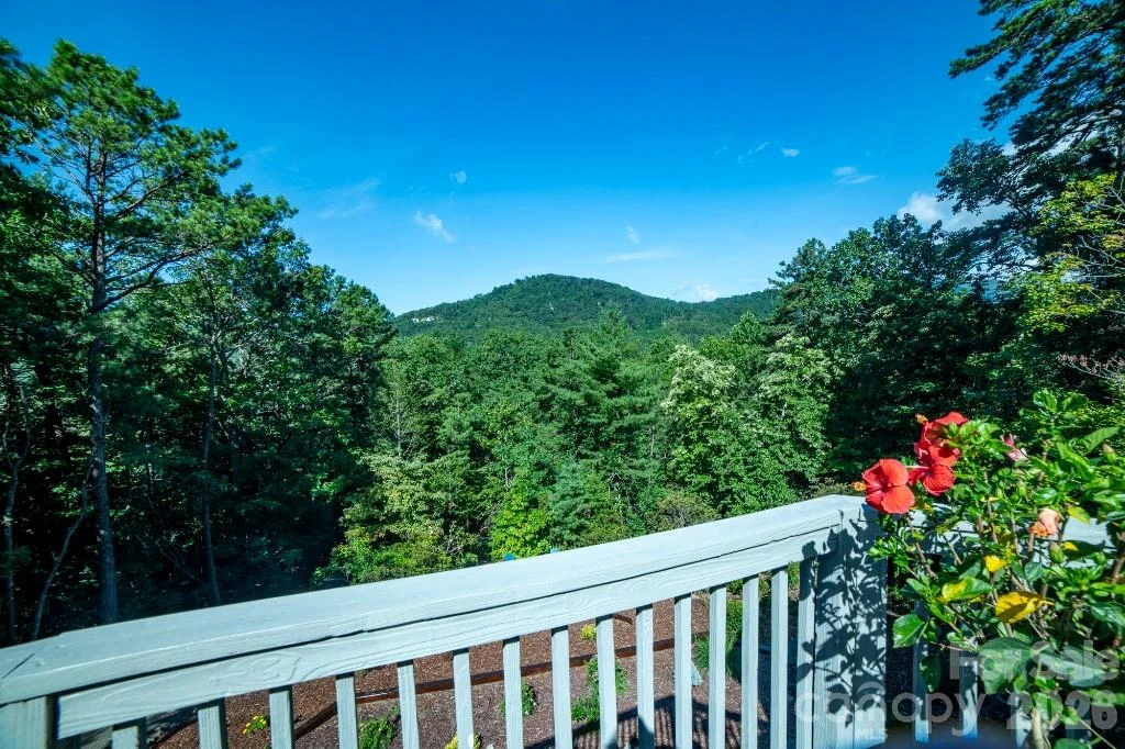 36 Lynx Drive - Photo 4