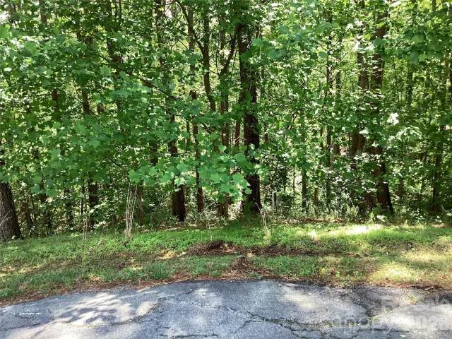 101 Pier Point Drive, Connelly Springs, NC, 28612