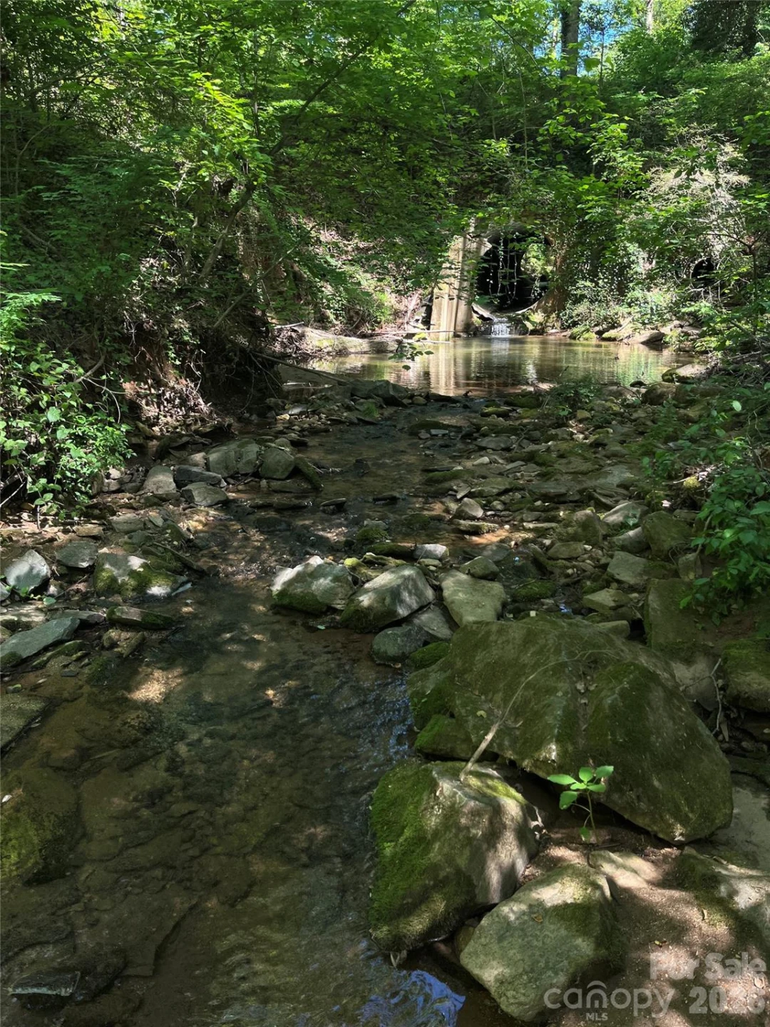 231 Davis Drive - Photo 47