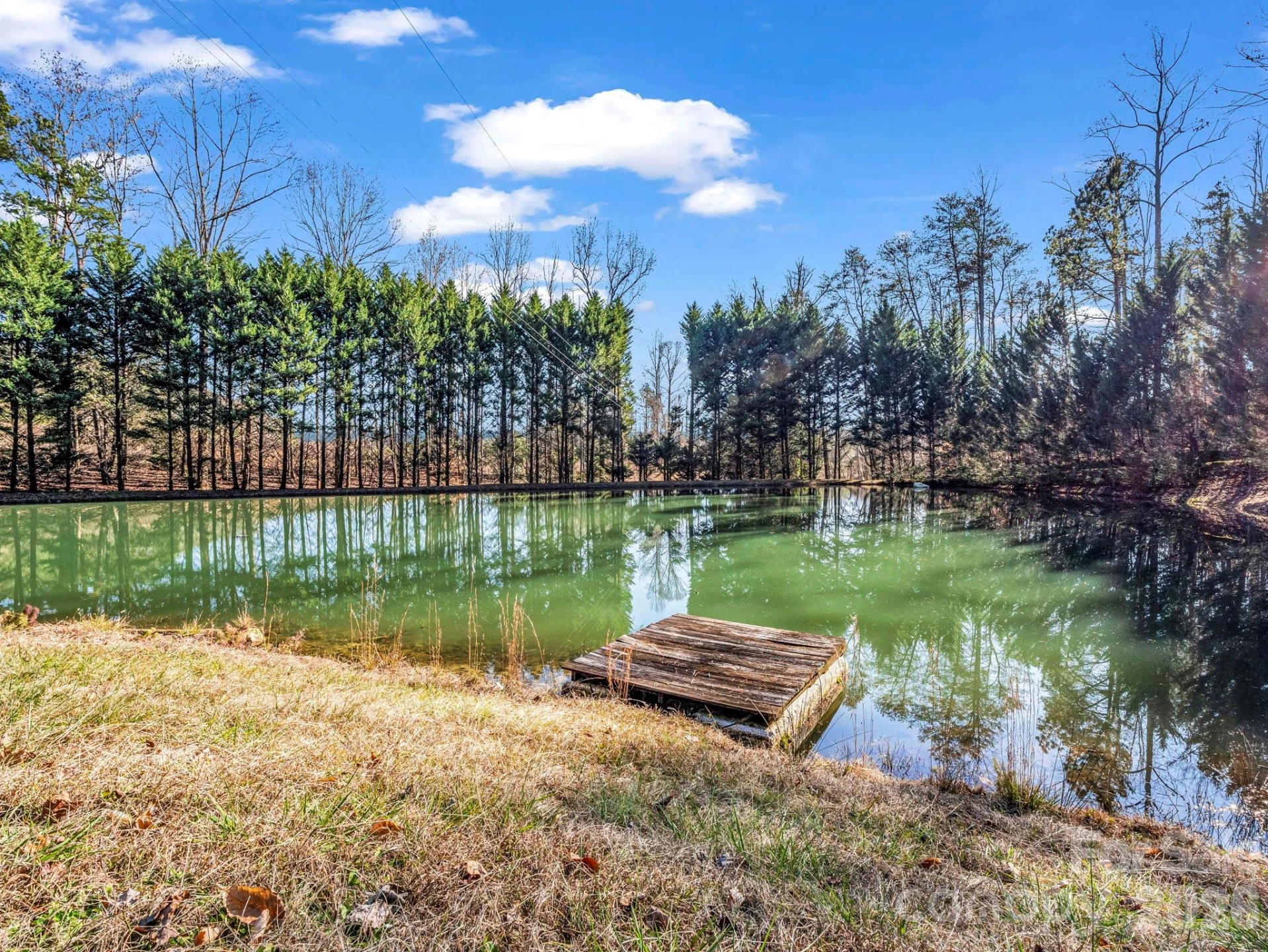 650 Smith Waldrop Road - Photo 5
