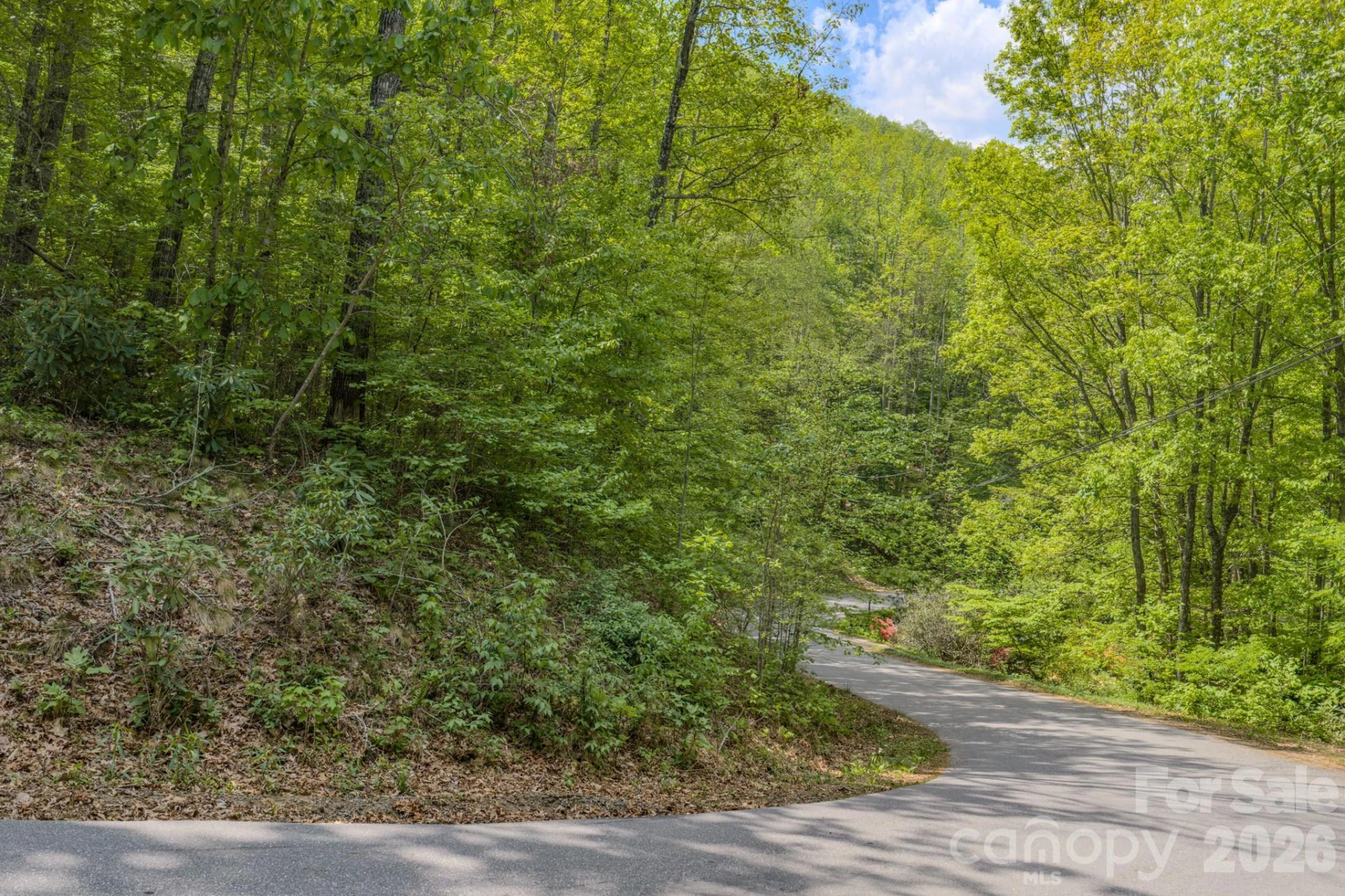 263 Mockingbird Road #2 - Photo 13