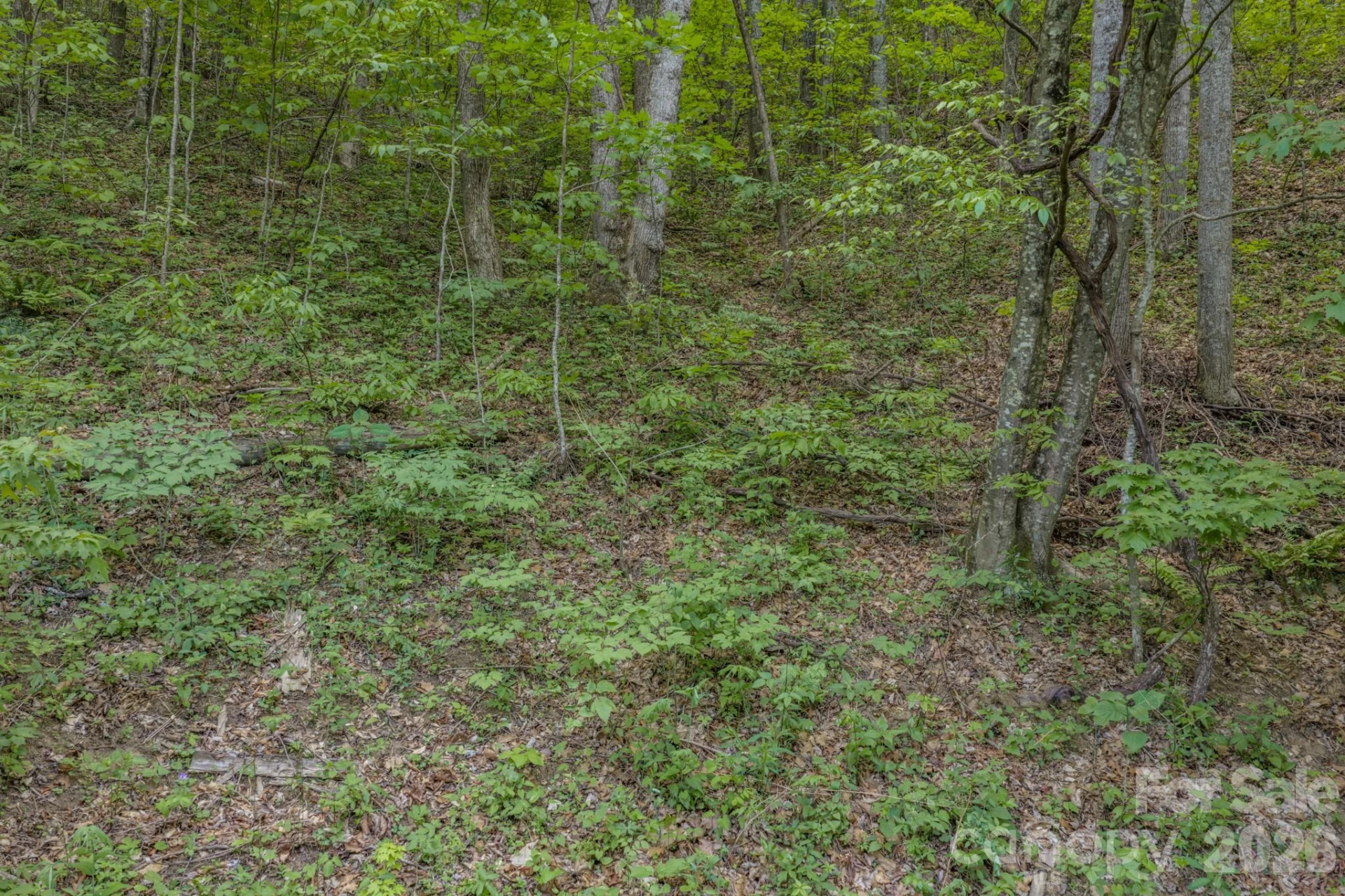 263 Mockingbird Road #2 - Photo 15