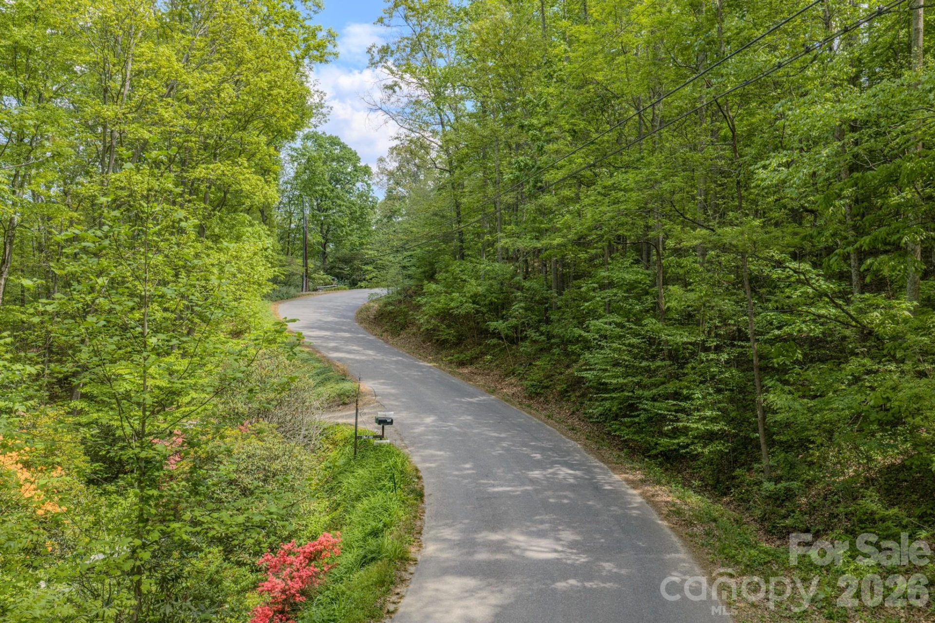 263 Mockingbird Road #2 - Photo 16