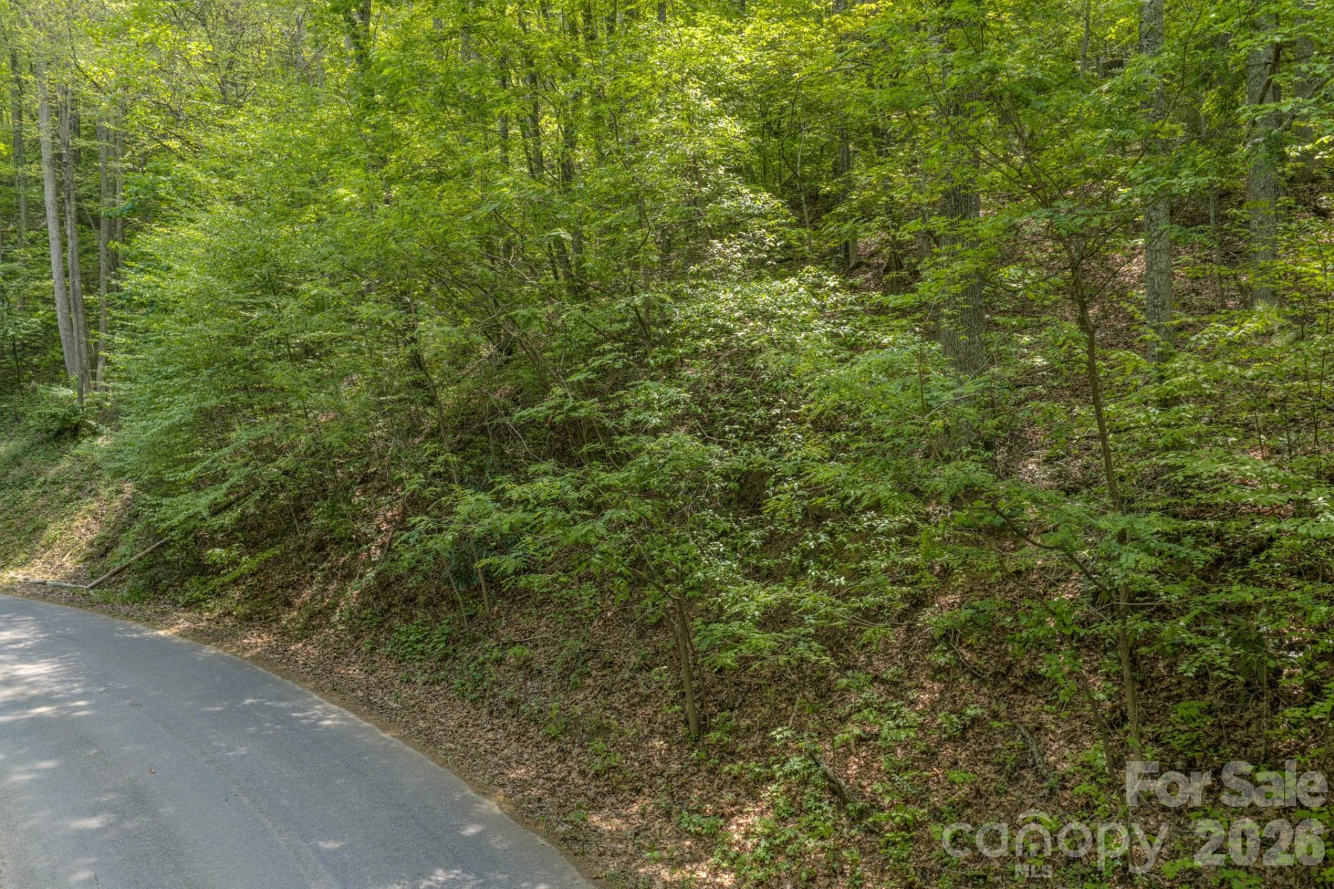 263 Mockingbird Road #2 - Photo 17