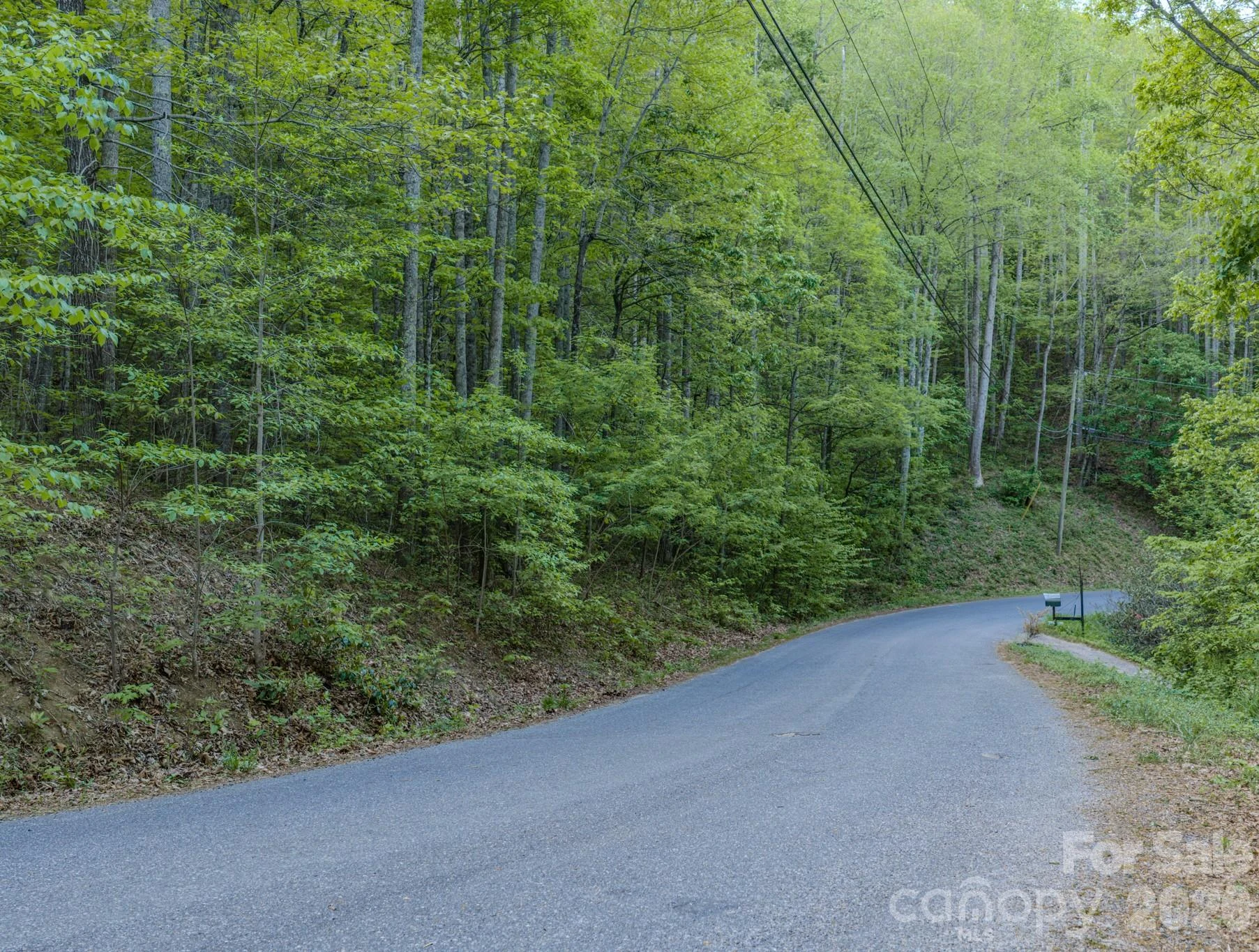 259 Mockingbird Road #1 - Photo 2