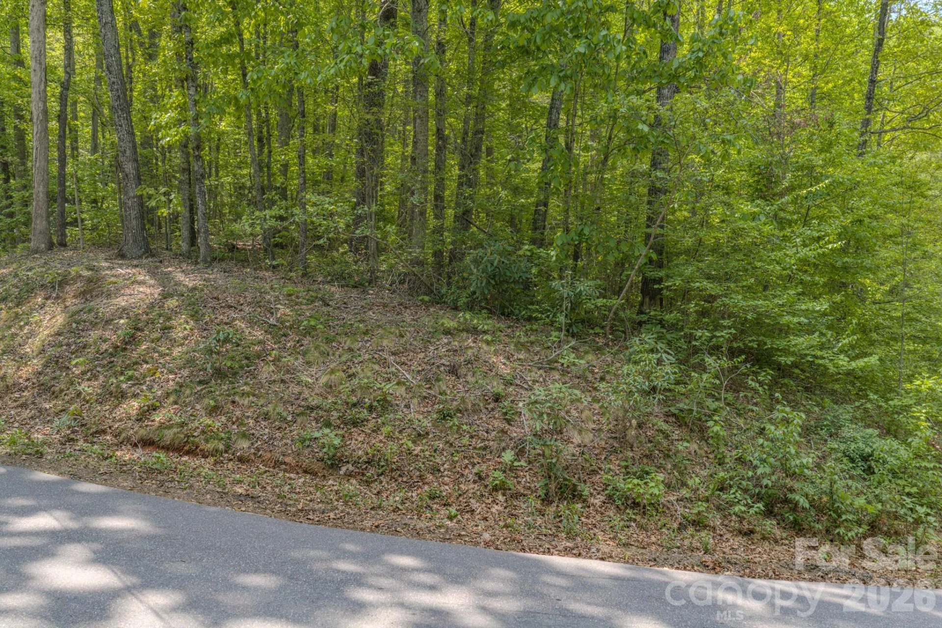 259 Mockingbird Road #1 - Photo 15