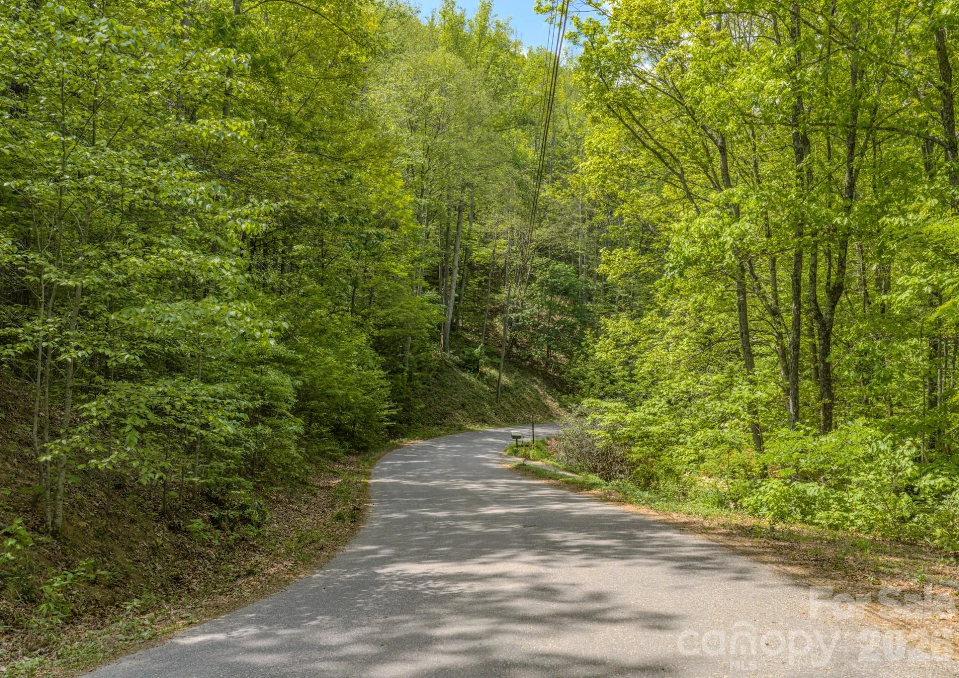 259 Mockingbird Road #1 - Photo 16