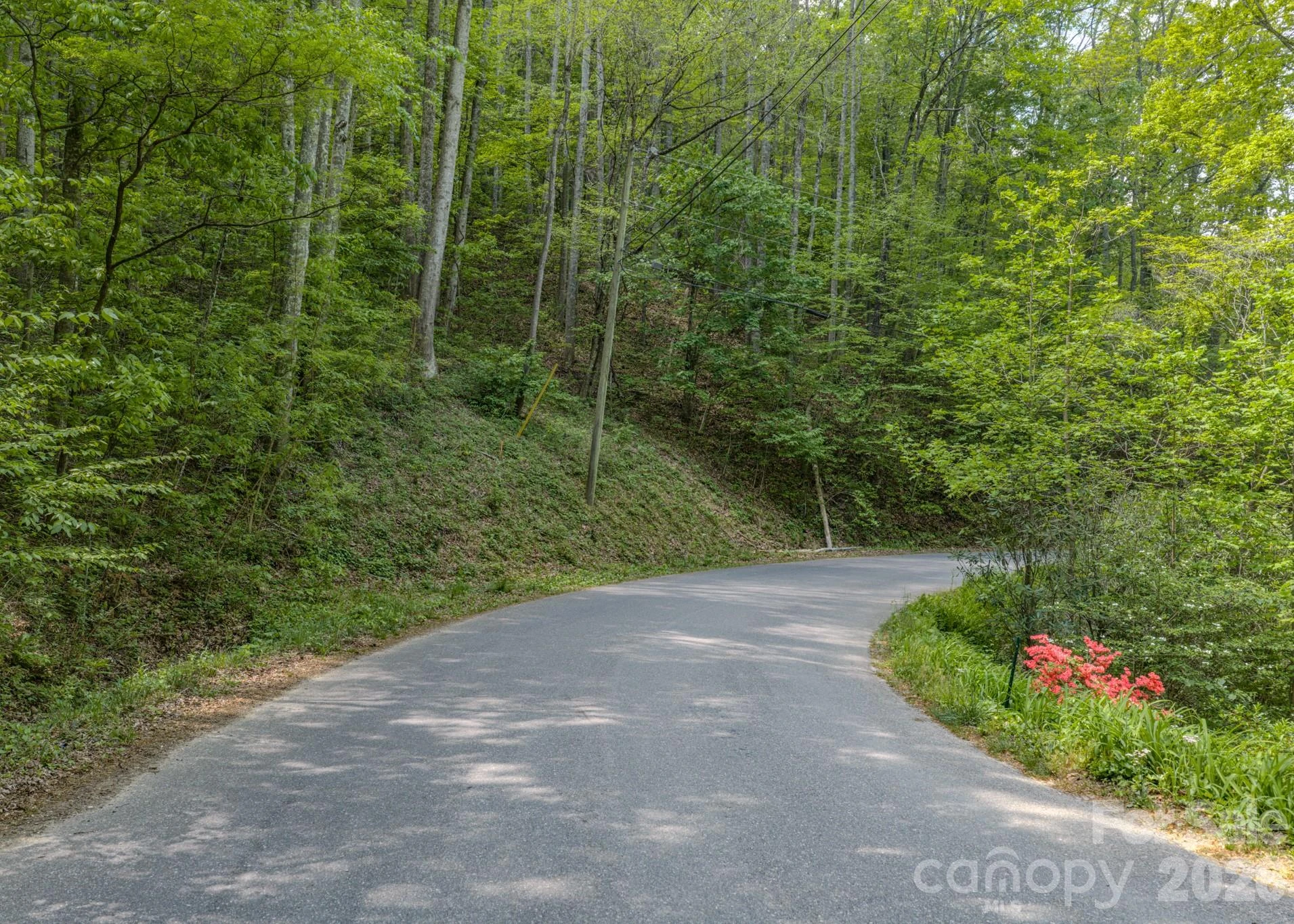 259 Mockingbird Road #1 - Photo 17
