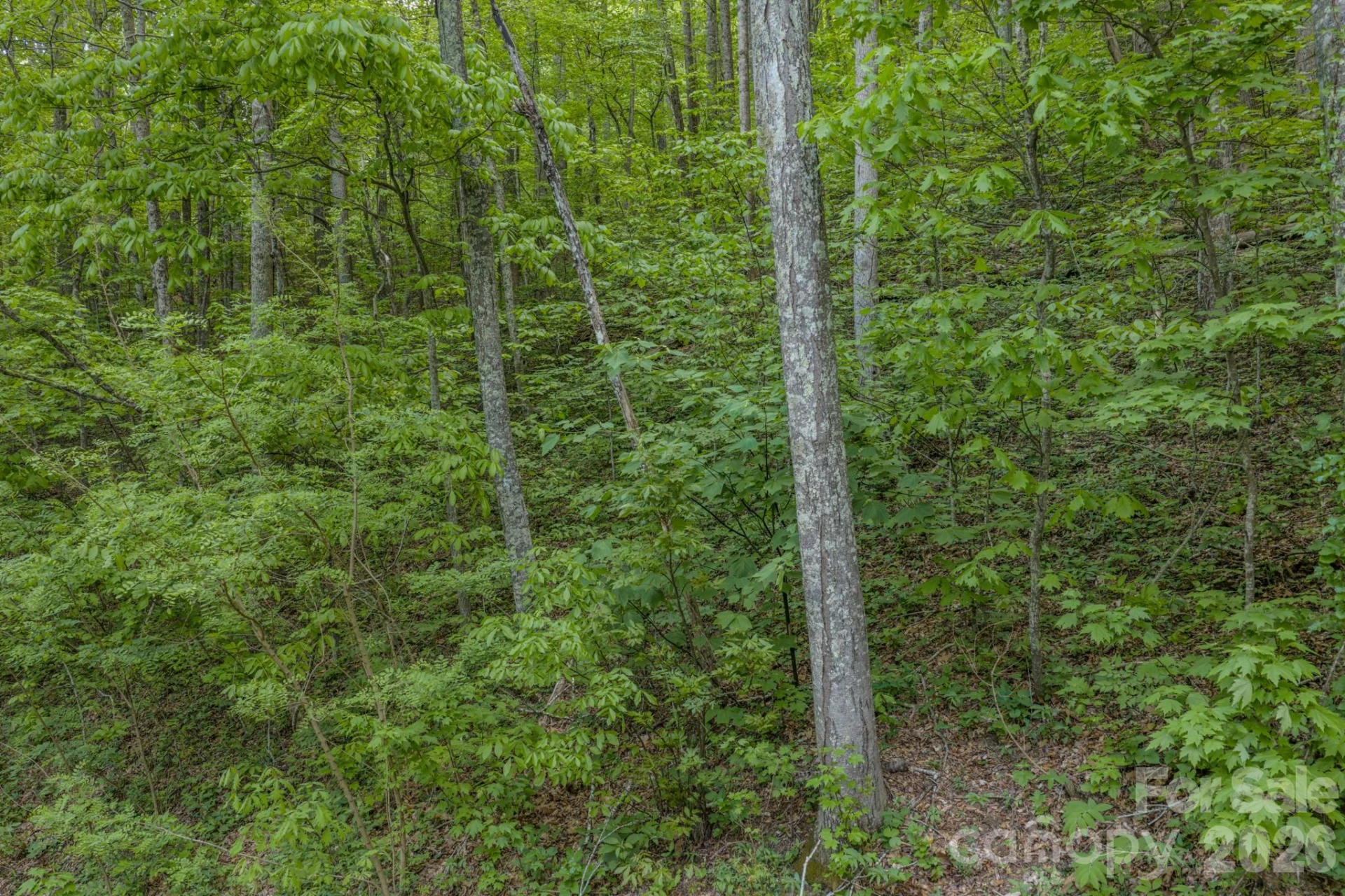 259 Mockingbird Road #1 - Photo 18