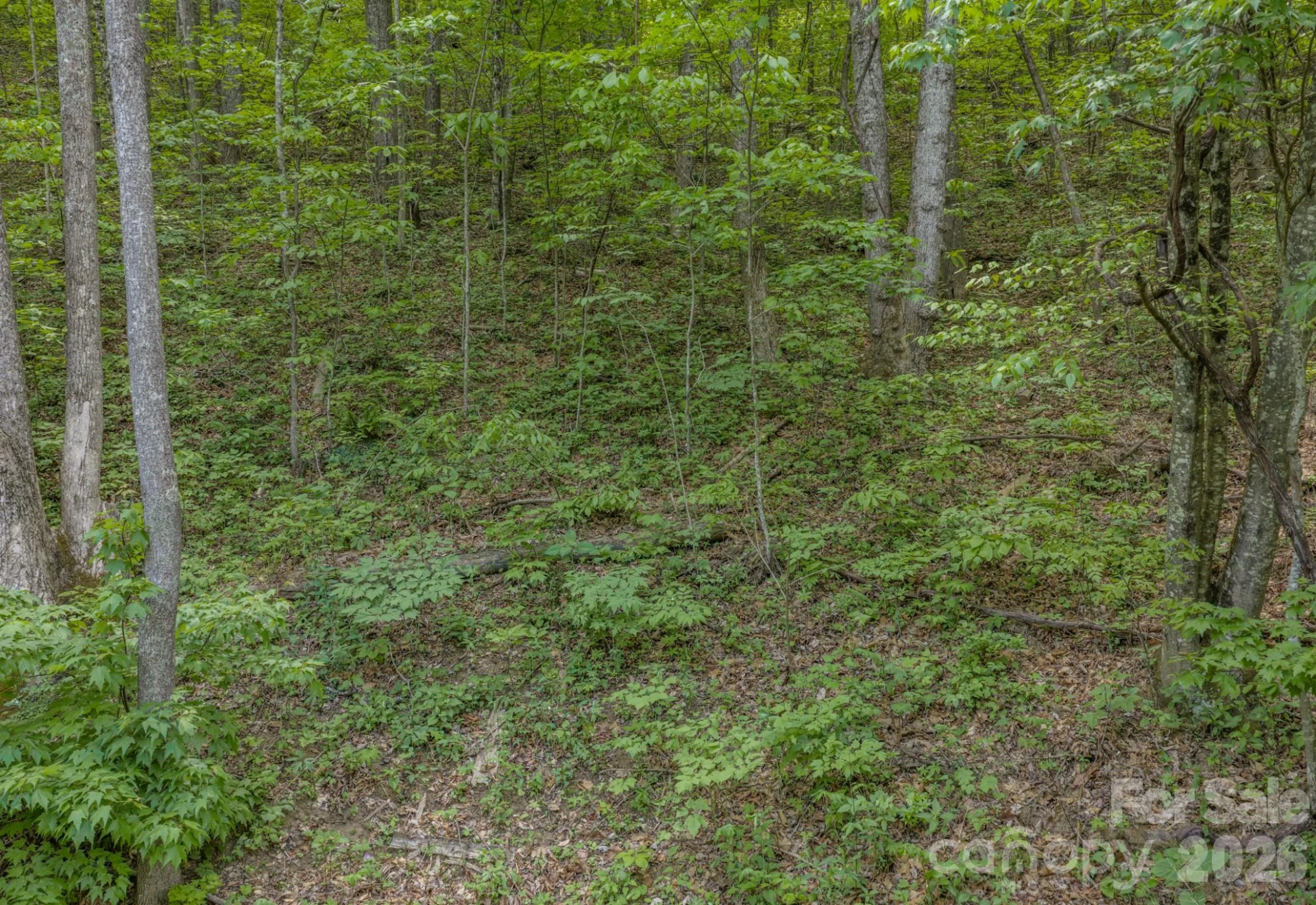 259 Mockingbird Road #1 - Photo 19