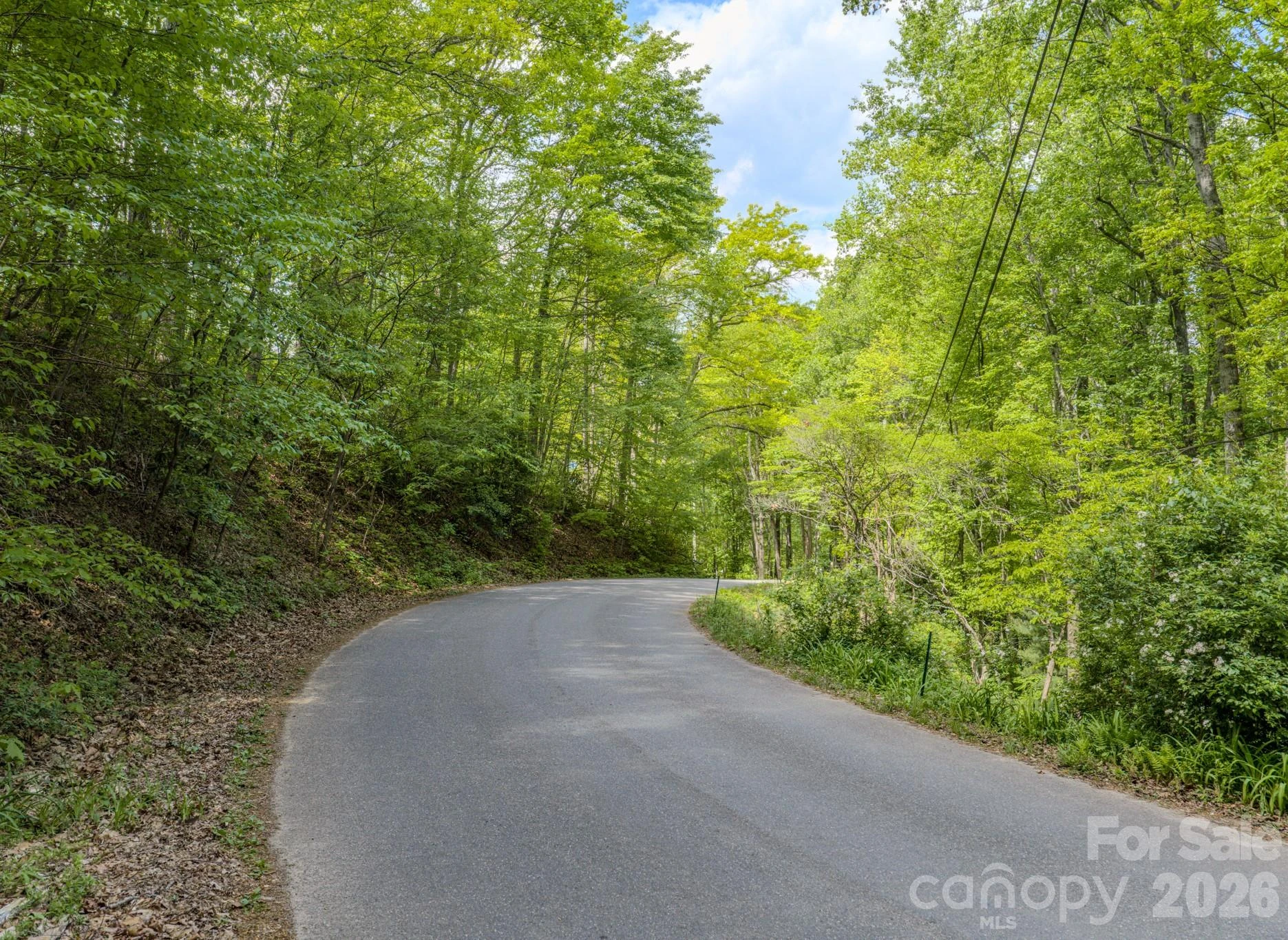259 Mockingbird Road #1 - Photo 20