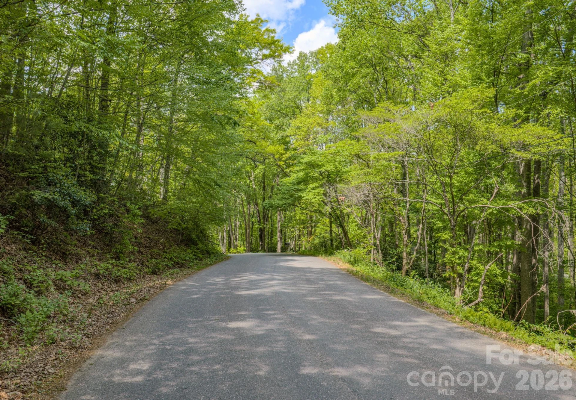 259 Mockingbird Road #1 - Photo 21