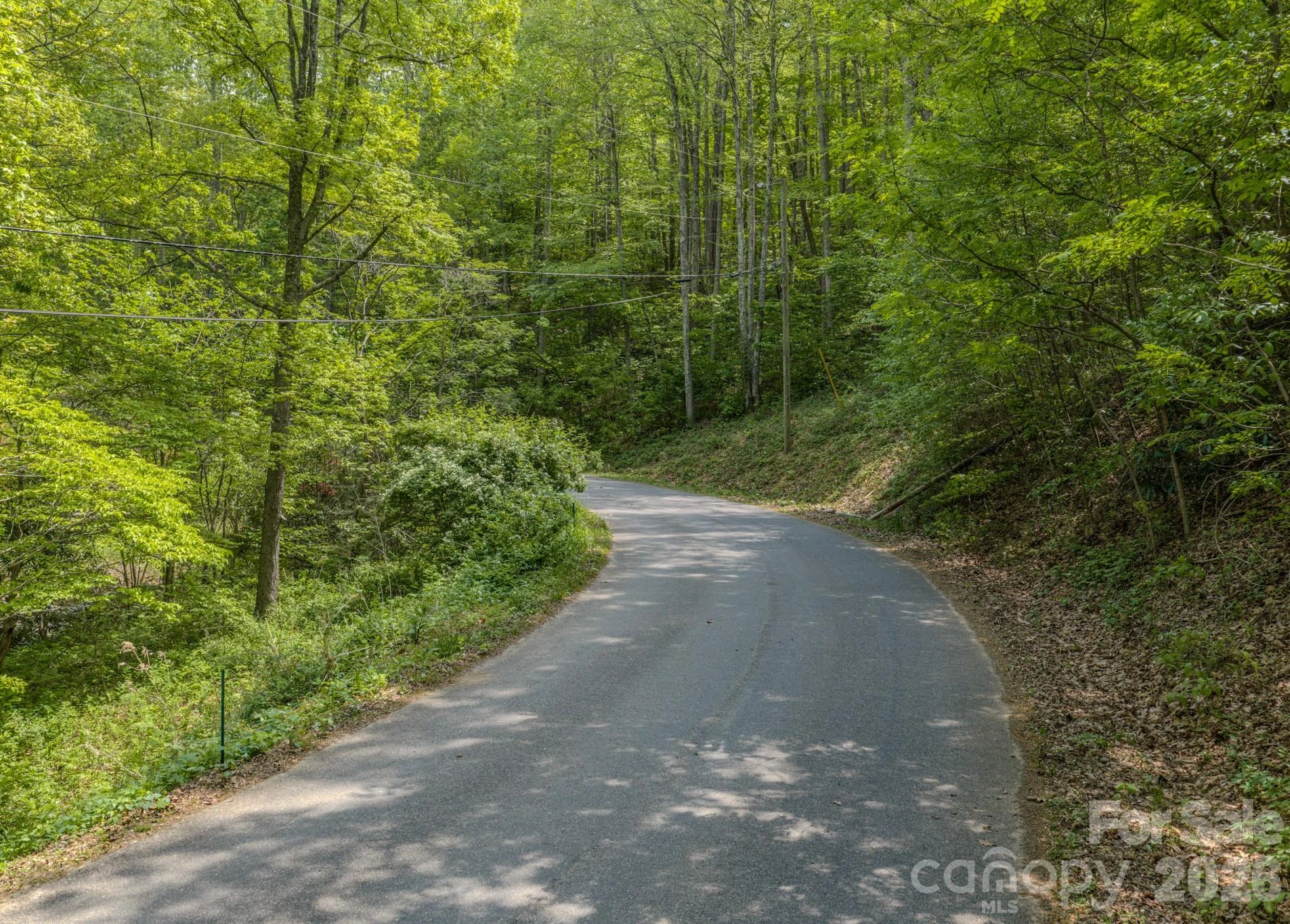 259 Mockingbird Road #1 - Photo 23