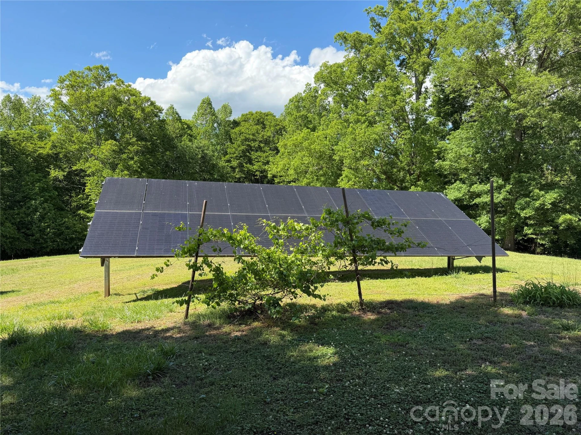 781 Rock Road - Photo 16