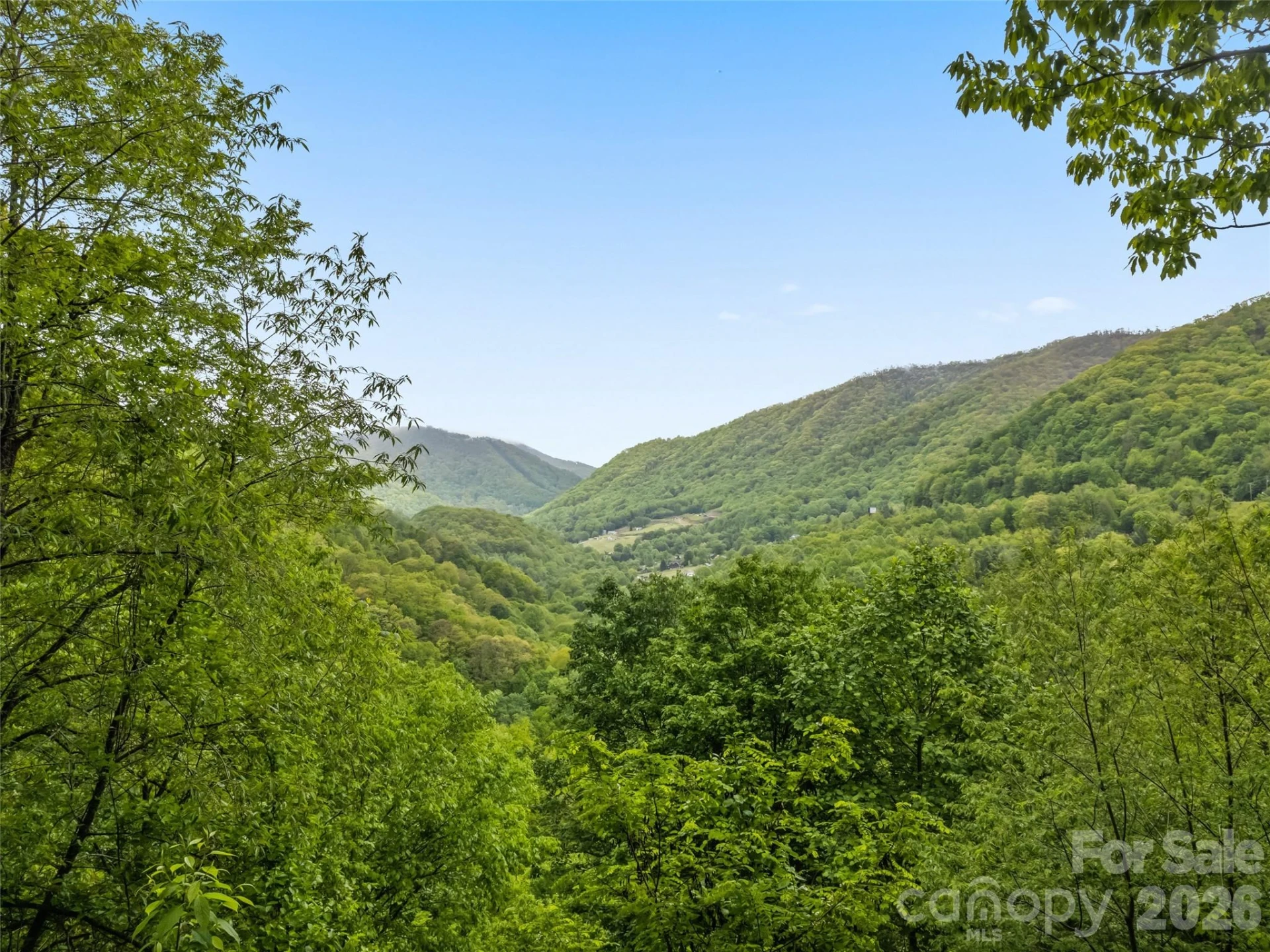 297 Hidden Cove Road - Photo 3