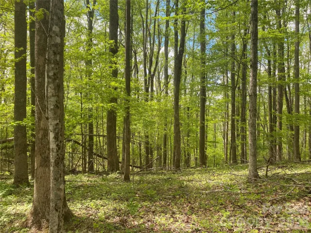 TBD US 23 Highway, Mars Hill, NC, 28754
