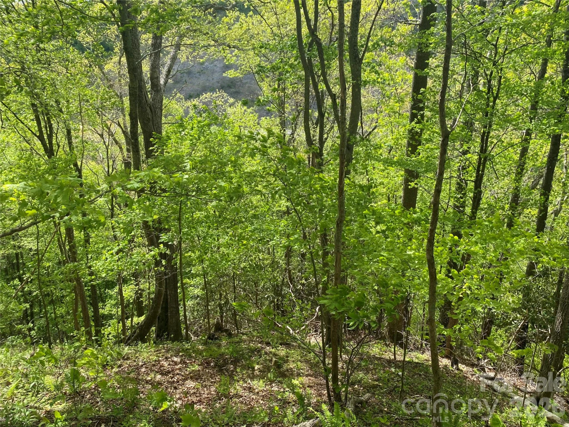 TBD US 23 Highway - Photo 16