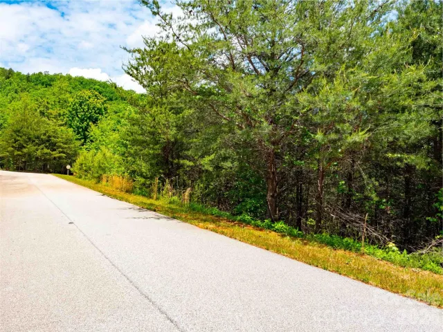 LOT 150 Birkdale Drive, Mill Spring, NC, 28756
