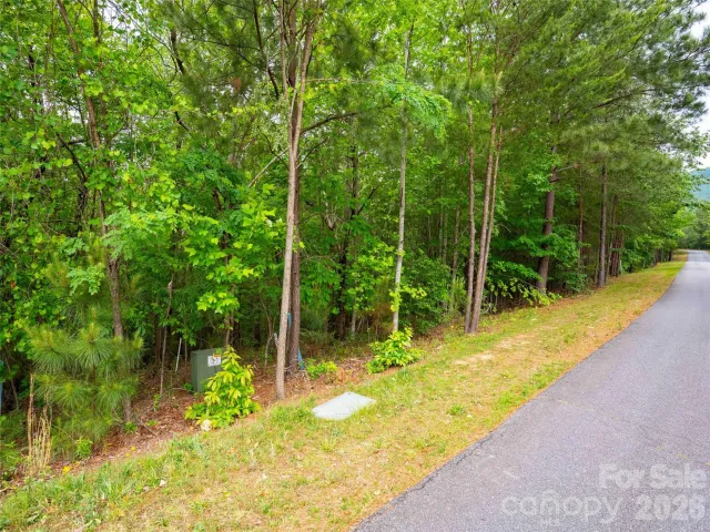 LOT 2009 Deep Gap Farm Road, Mill Spring, NC, 28756