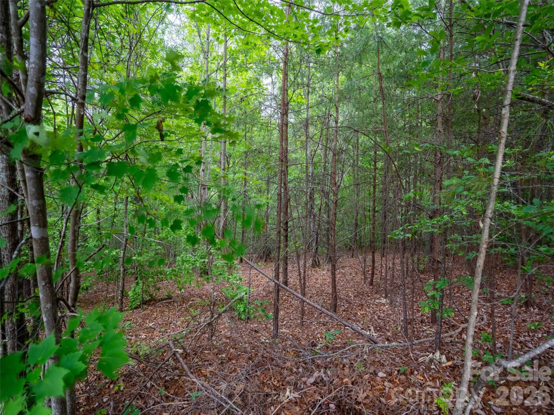 LOT 2009 Deep Gap Farm Road - Photo 2