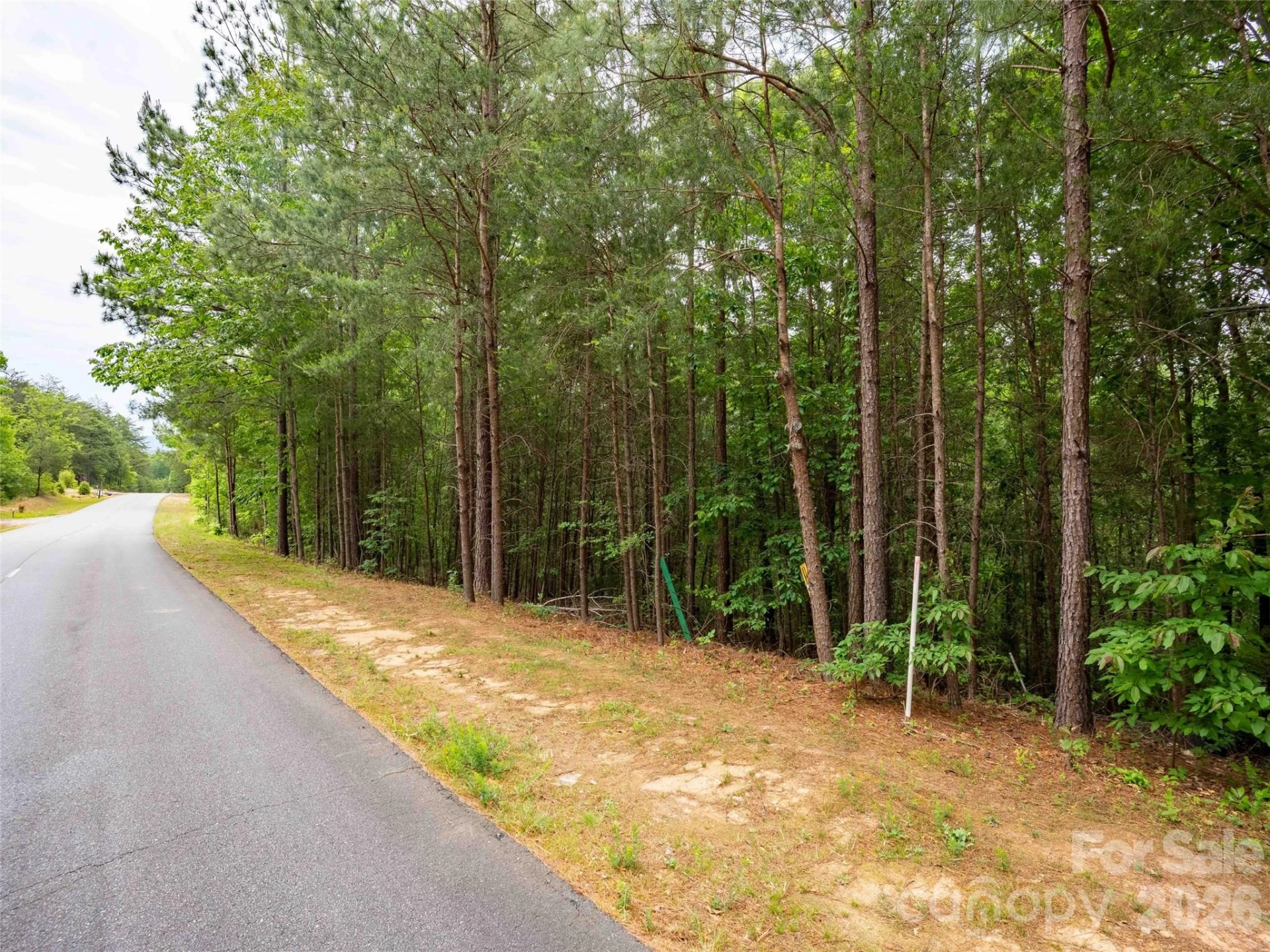 LOT 2009 Deep Gap Farm Road - Photo 3
