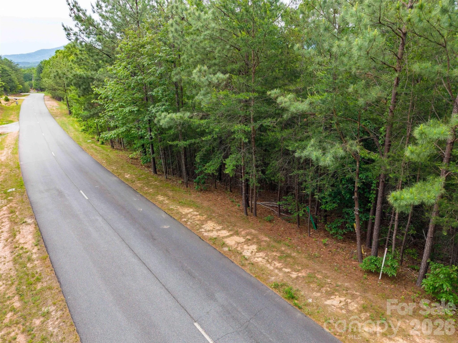 LOT 2009 Deep Gap Farm Road - Photo 4