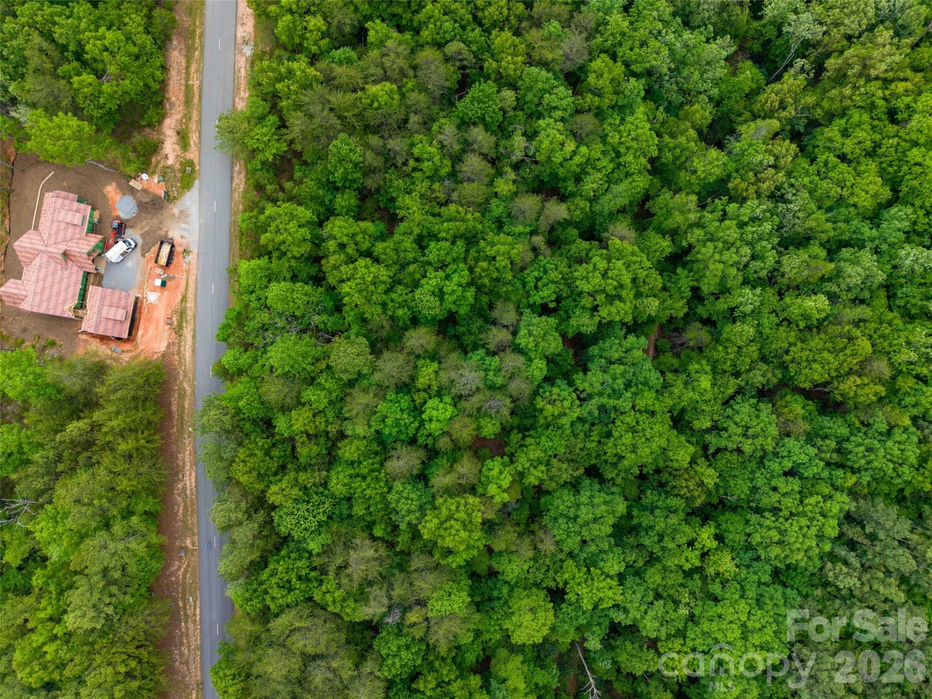 LOT 2009 Deep Gap Farm Road - Photo 6