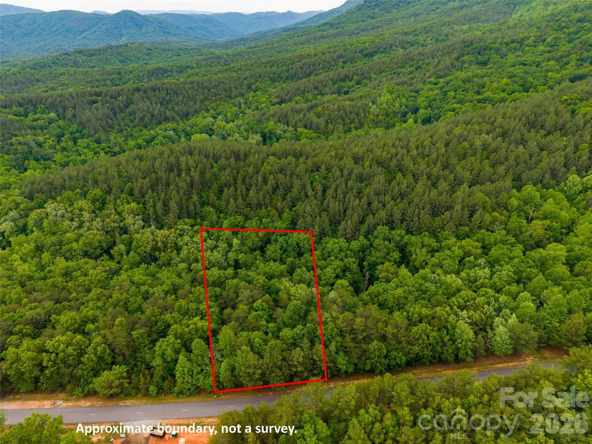 LOT 2009 Deep Gap Farm Road - Photo 7