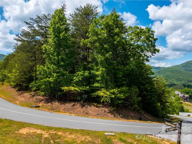 LOT 2012 Deep Gap Farm Road, Mill Spring, NC, 28756