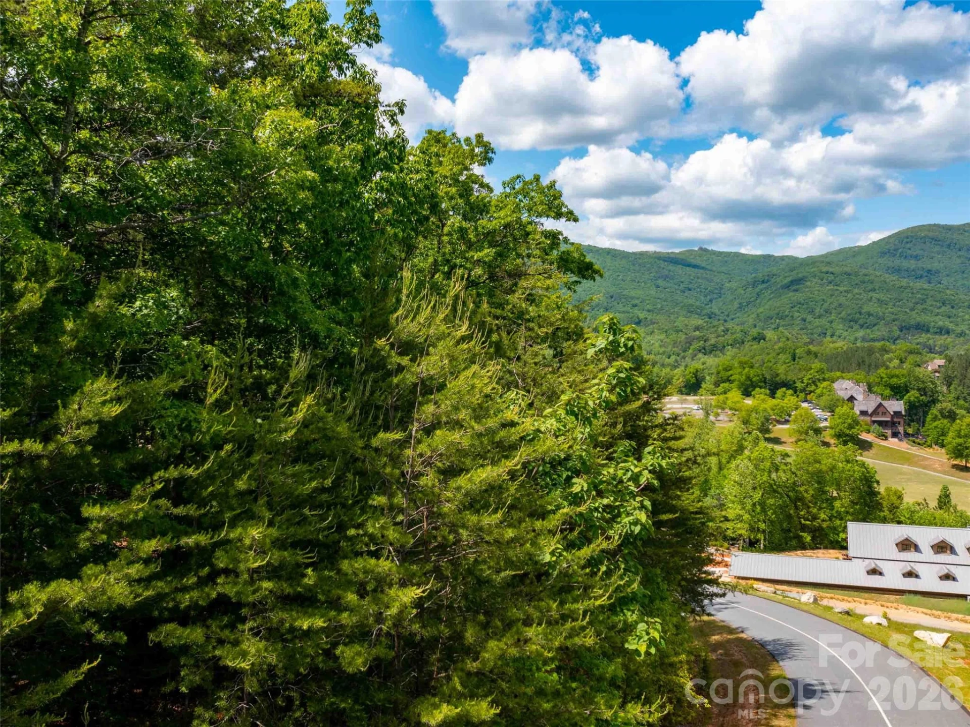 LOT 2012 Deep Gap Farm Road - Photo 7
