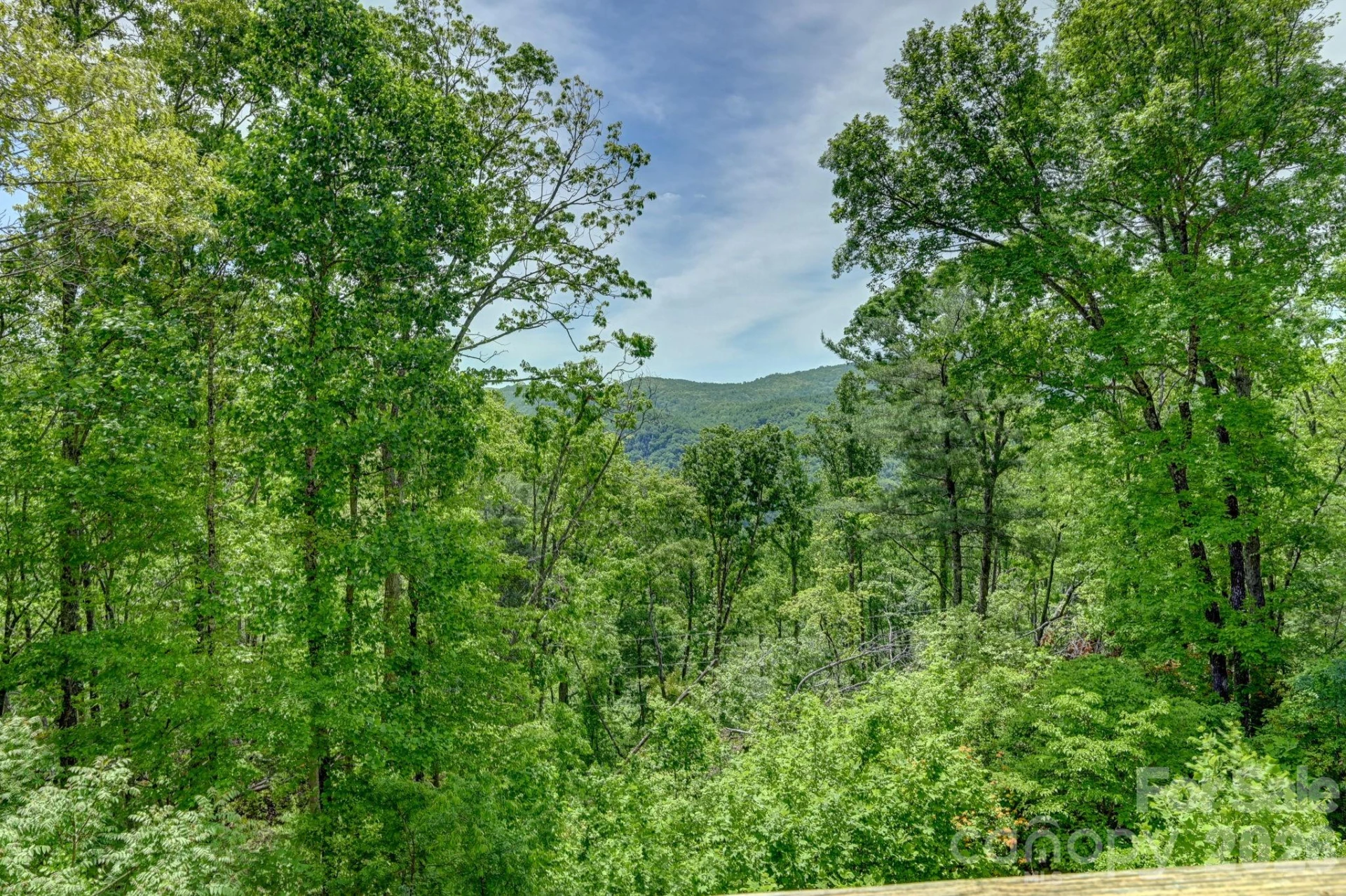 491 High Top Drive - Photo 32