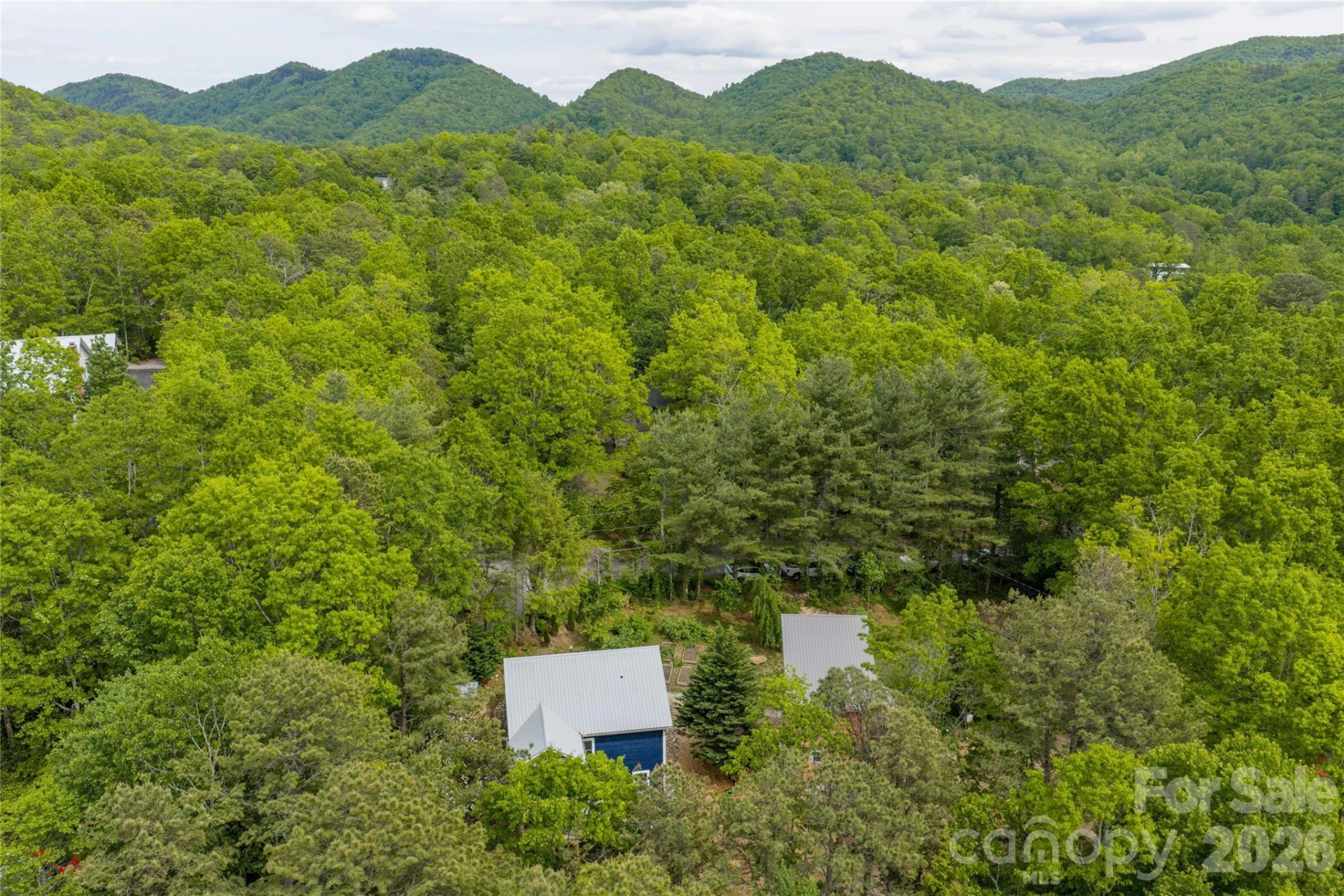 14 Locust Street - Photo 8