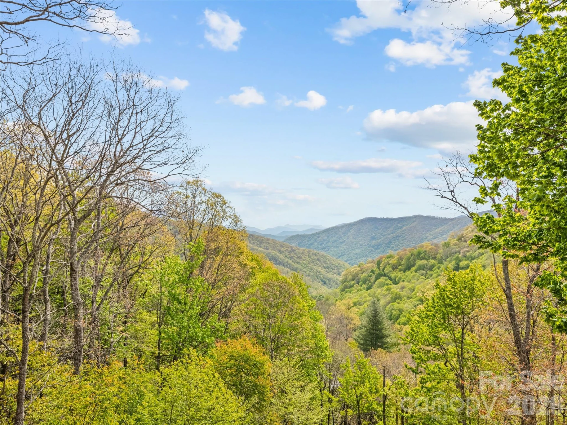128 Serendipity Trail - Photo 16